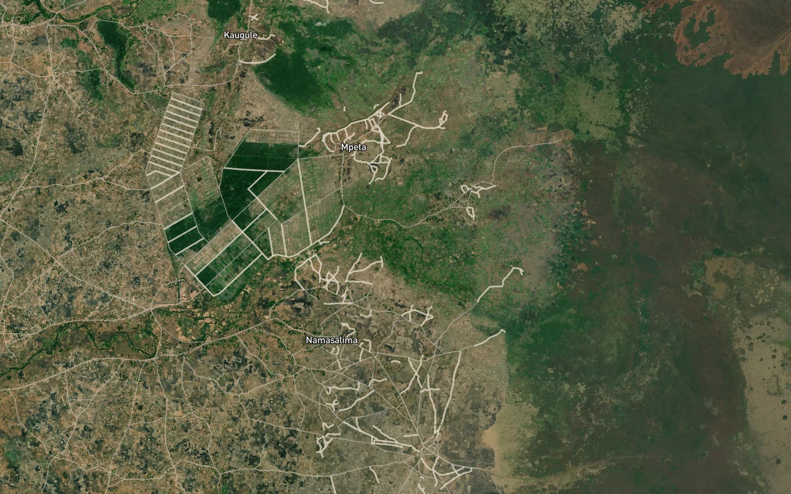 Domasi River