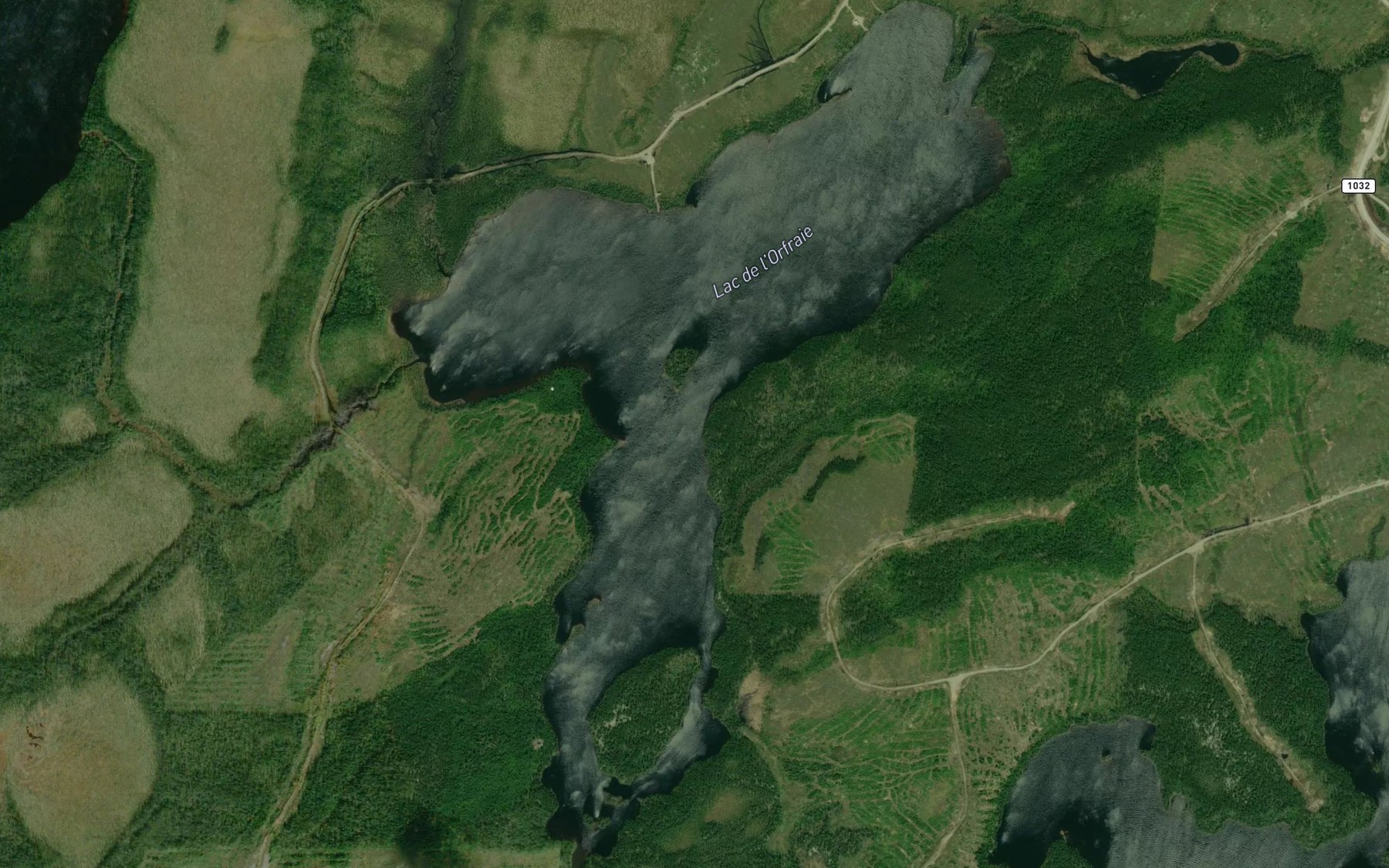 Satellite map of the Lac de l'Orfraie