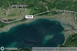 Langvagpollen