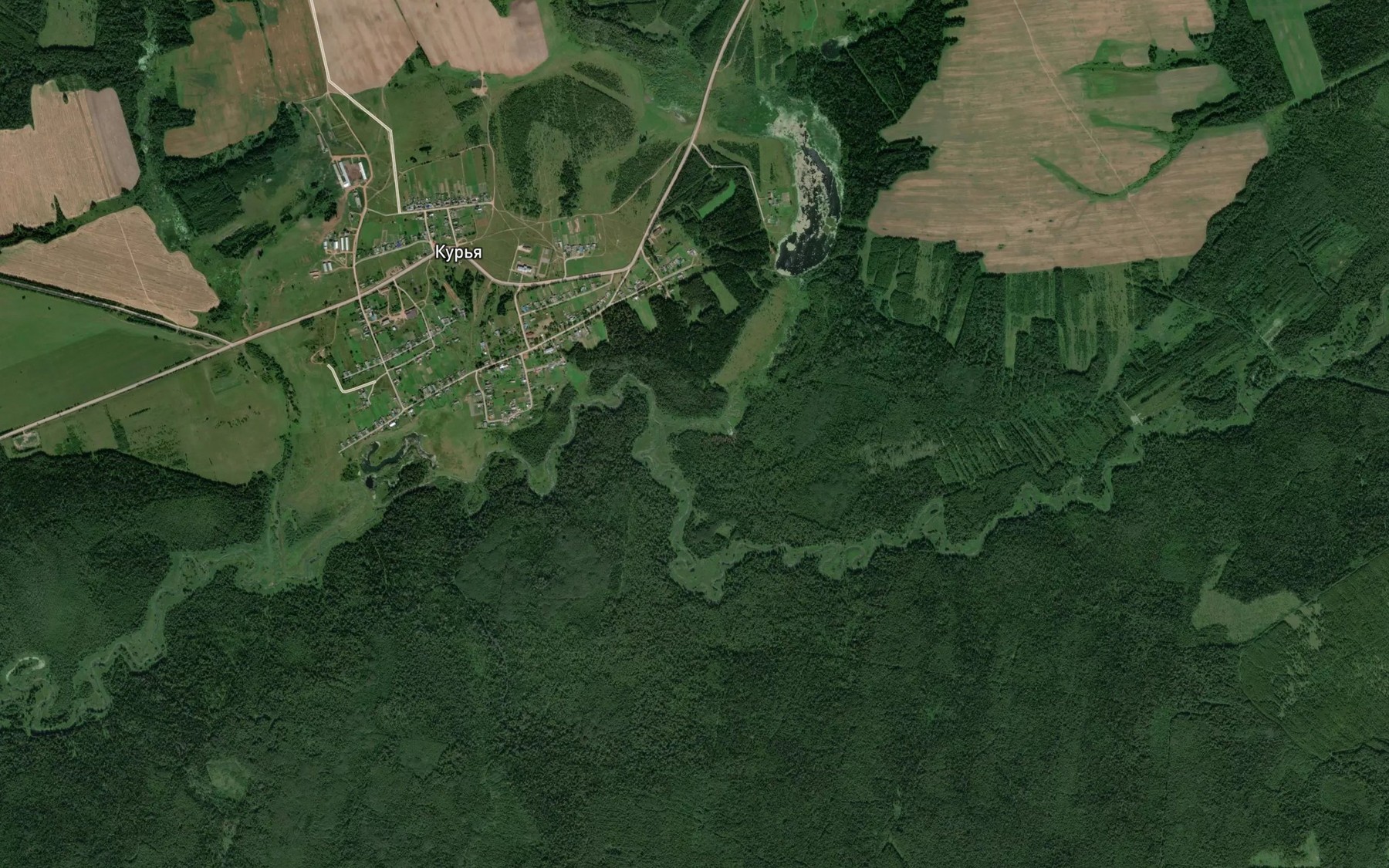 Satellite map of the Botanikha