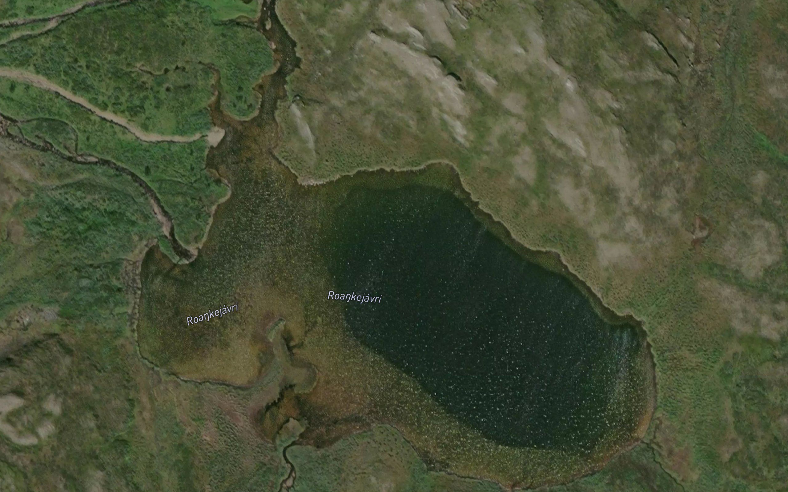 Roankejavri
