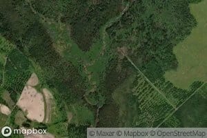 East Fork Dickey Brook