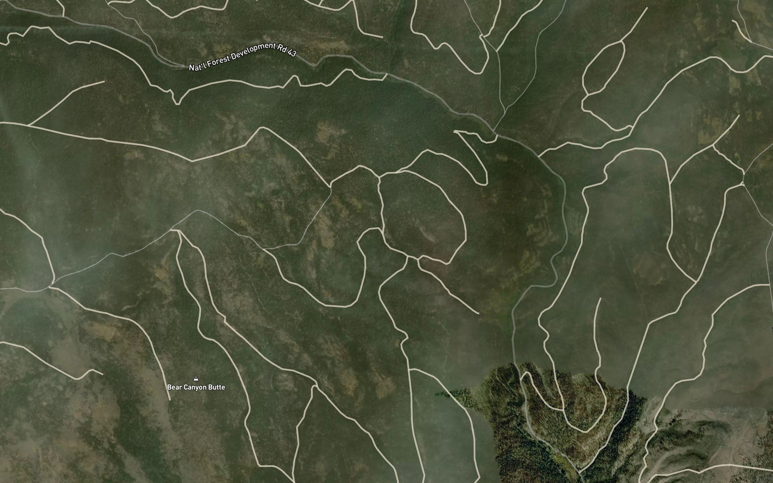 Coyote Spring