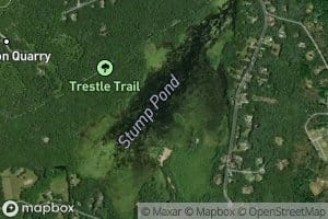 Stump Pond
