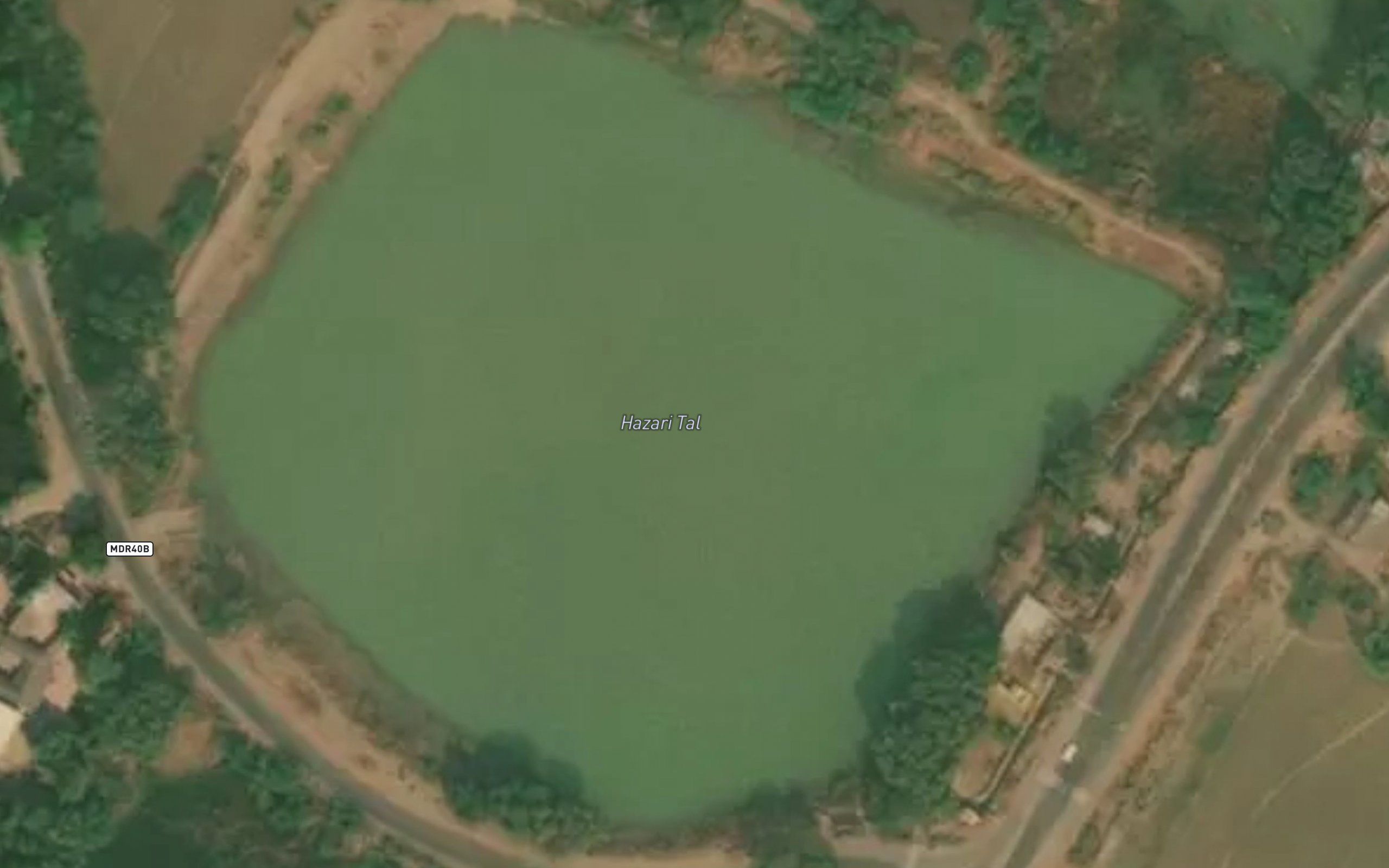 Hazari Tal