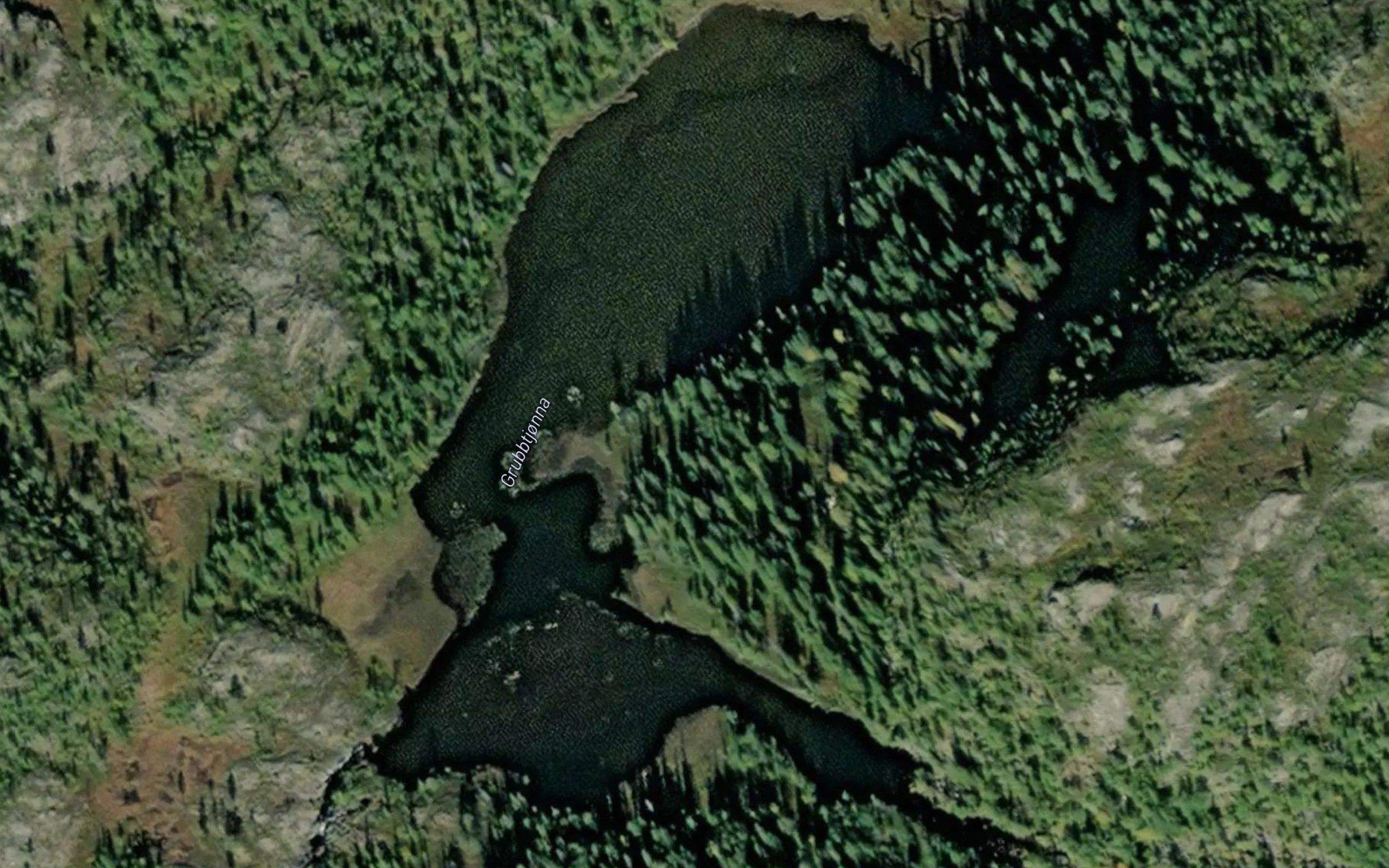Grubbtjonna