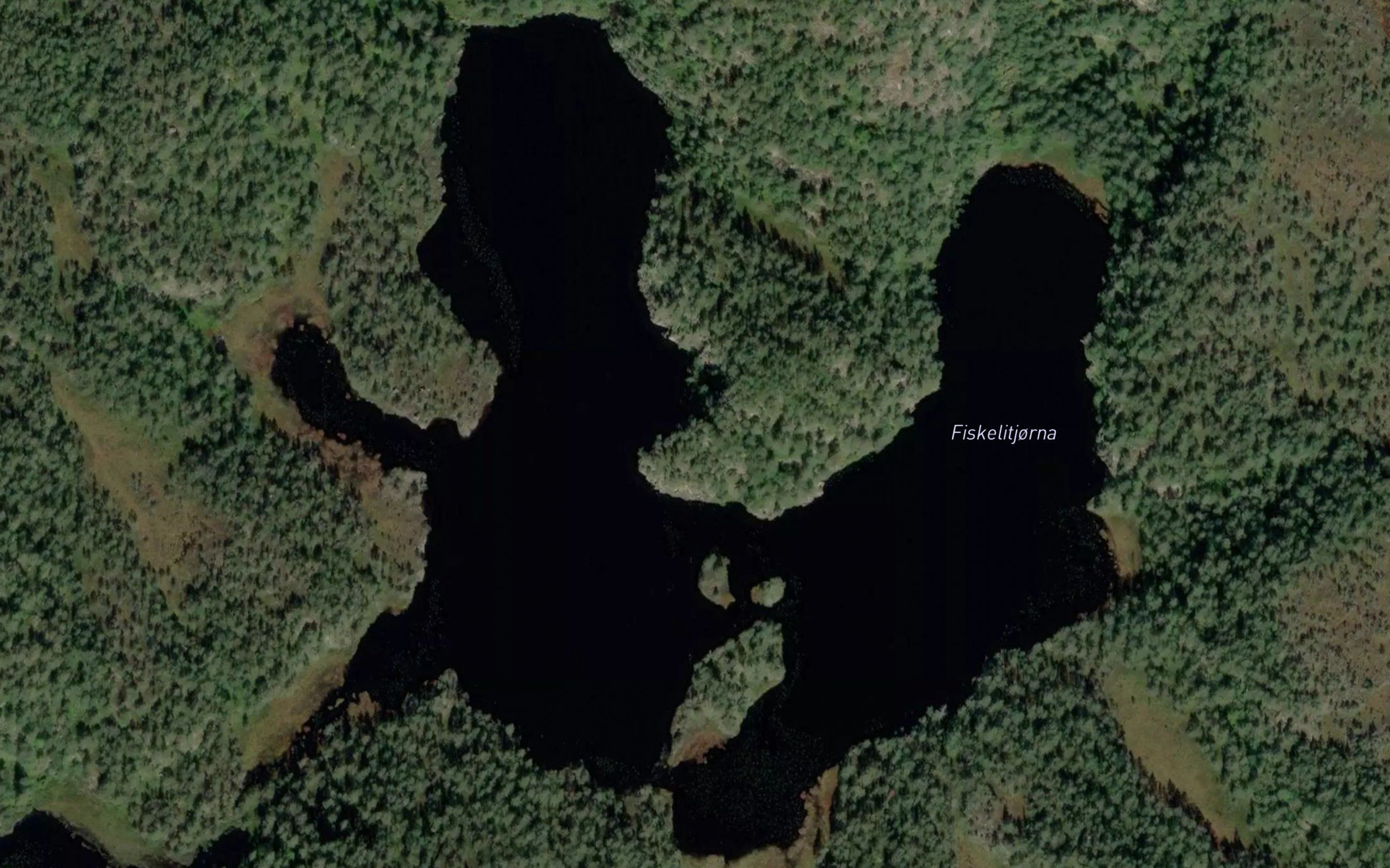 Fiskelitjorna