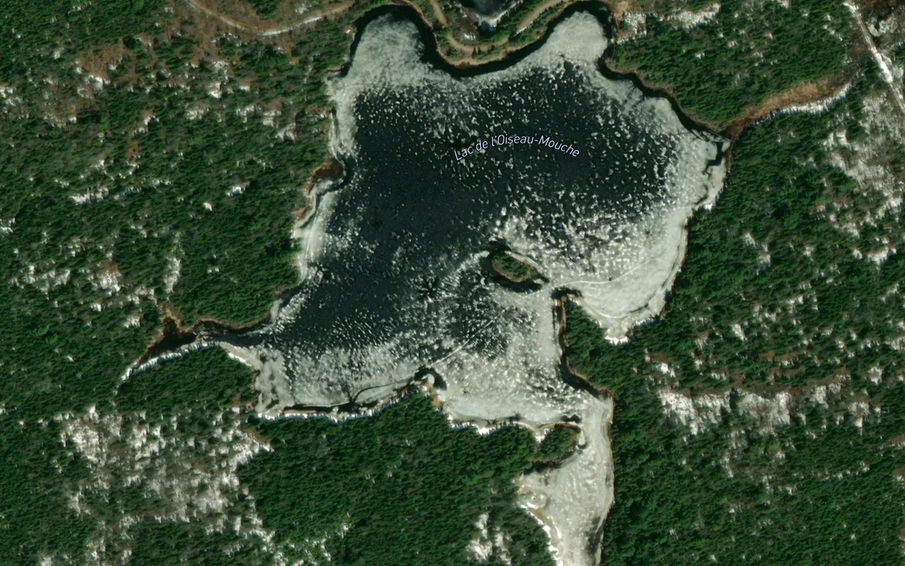 Satellite map of the Lac de l'Oiseau-Mouche