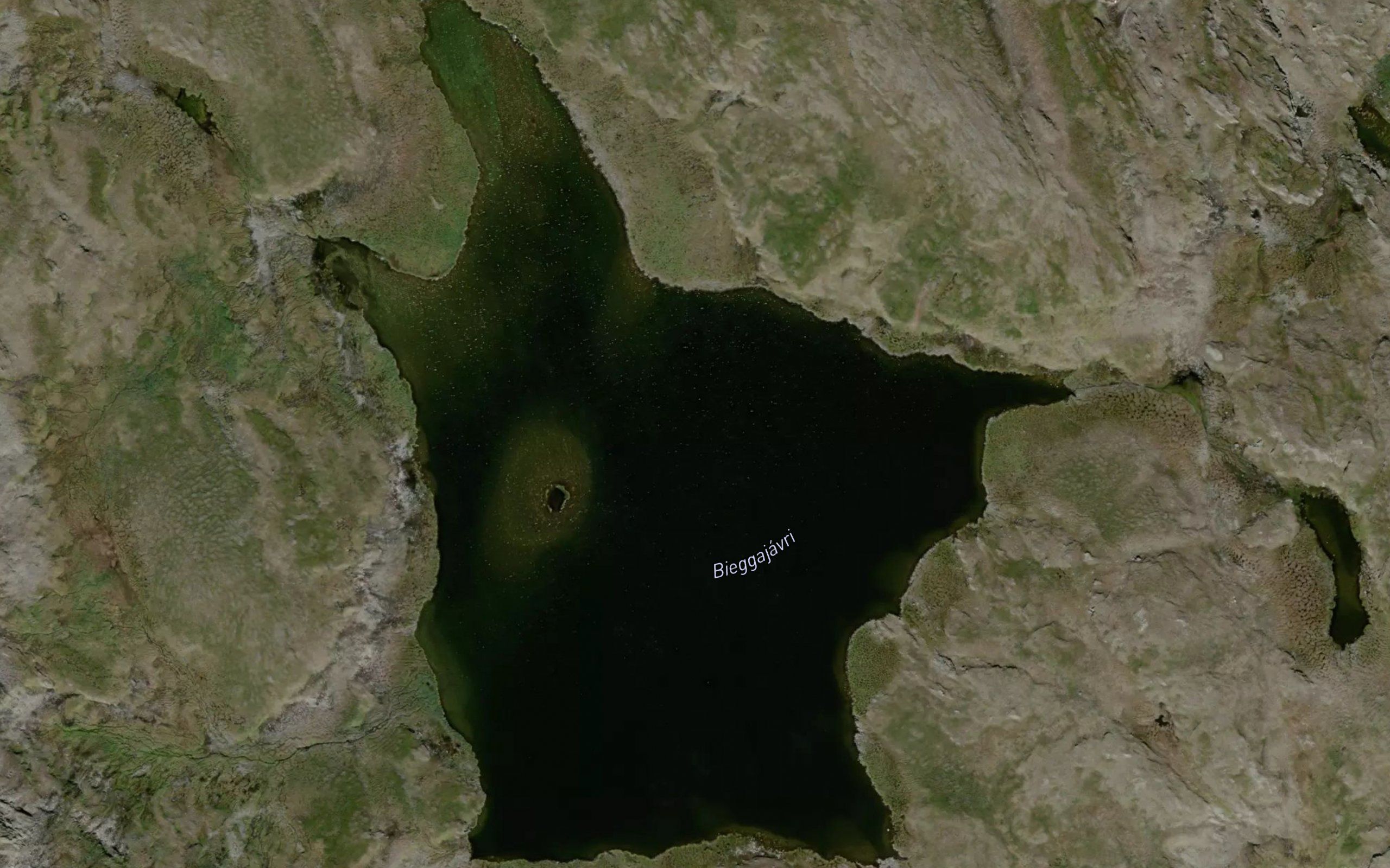 Bieggajavri