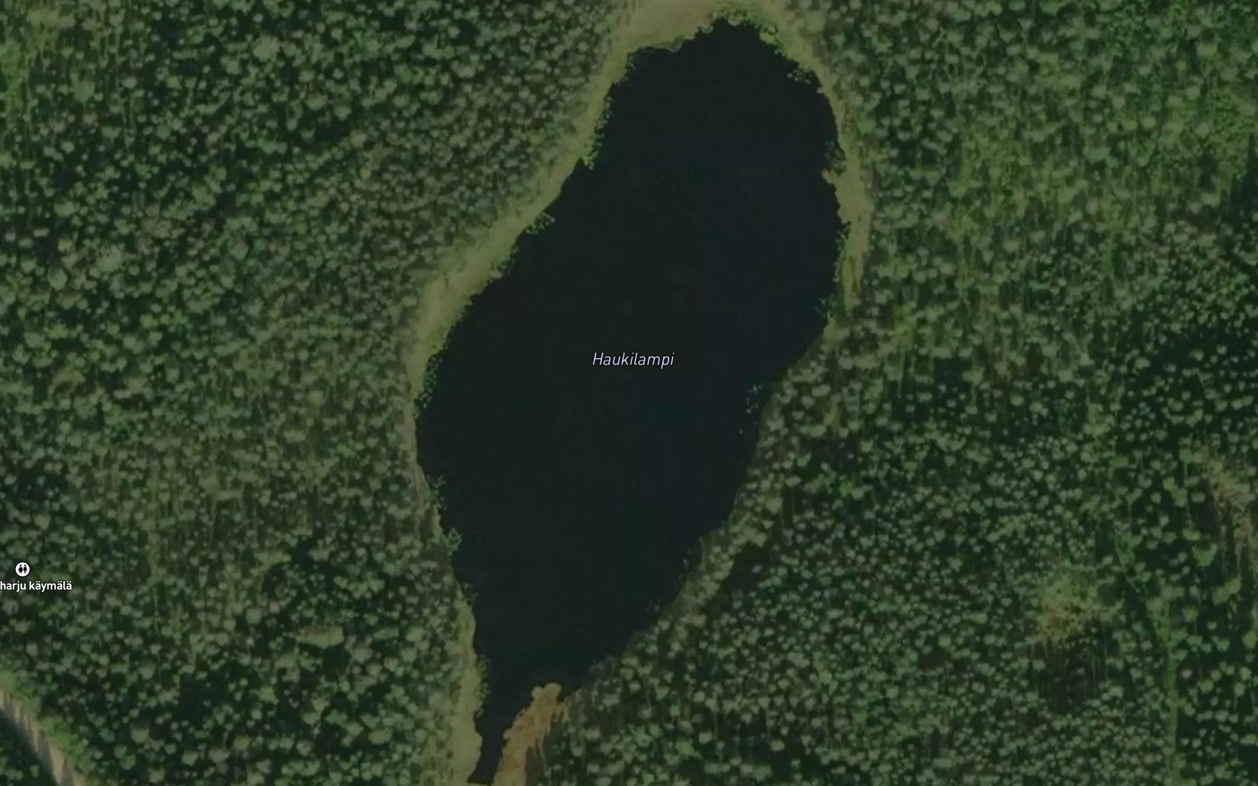 Haukilampi