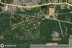 Sungai Jenahang