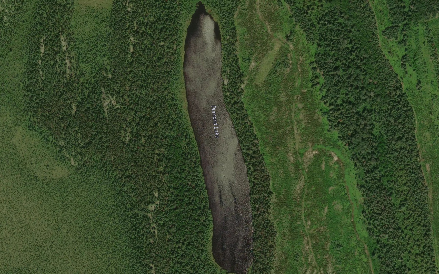 Satellite map of the Dumond Lake