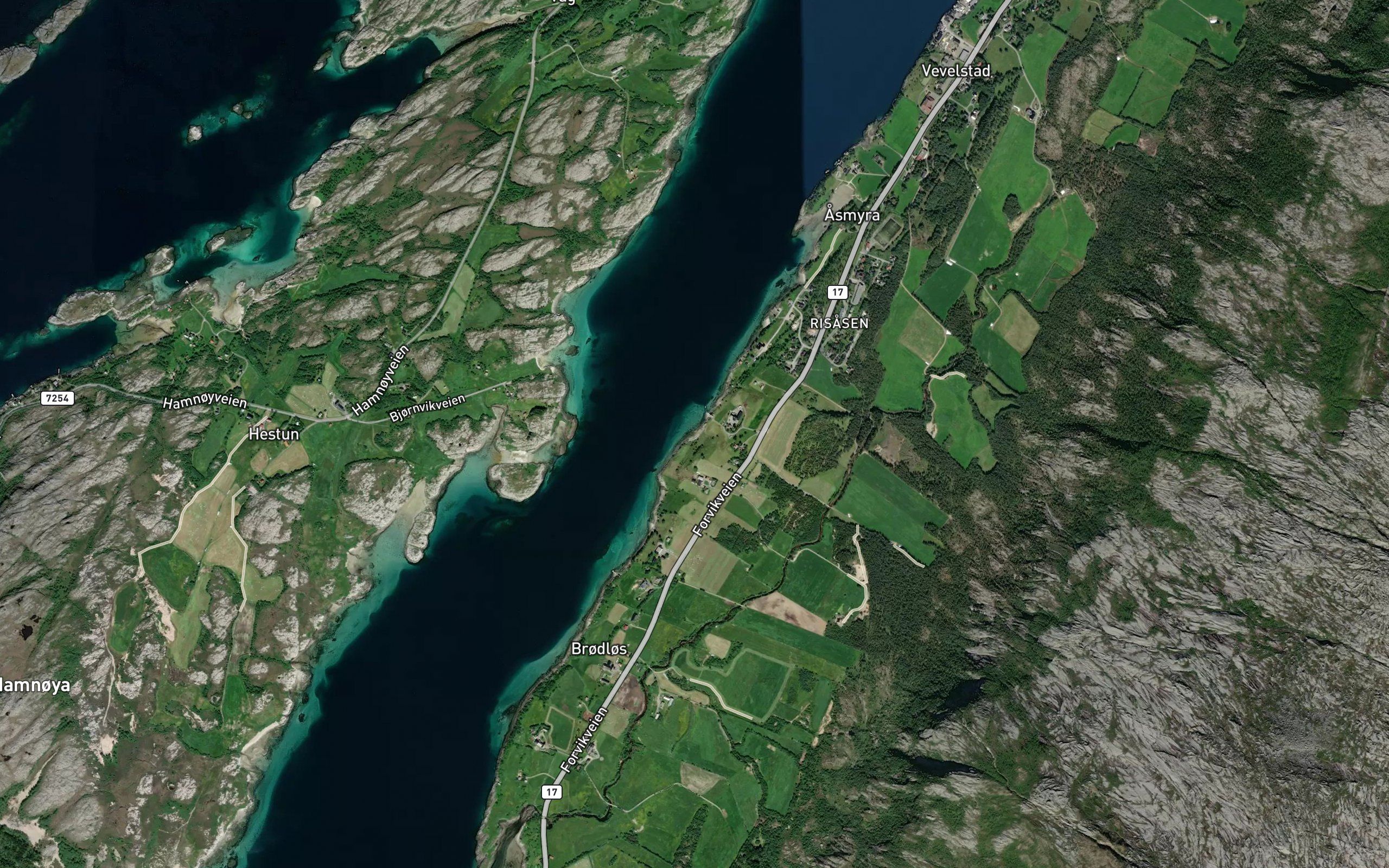 Svalvikja