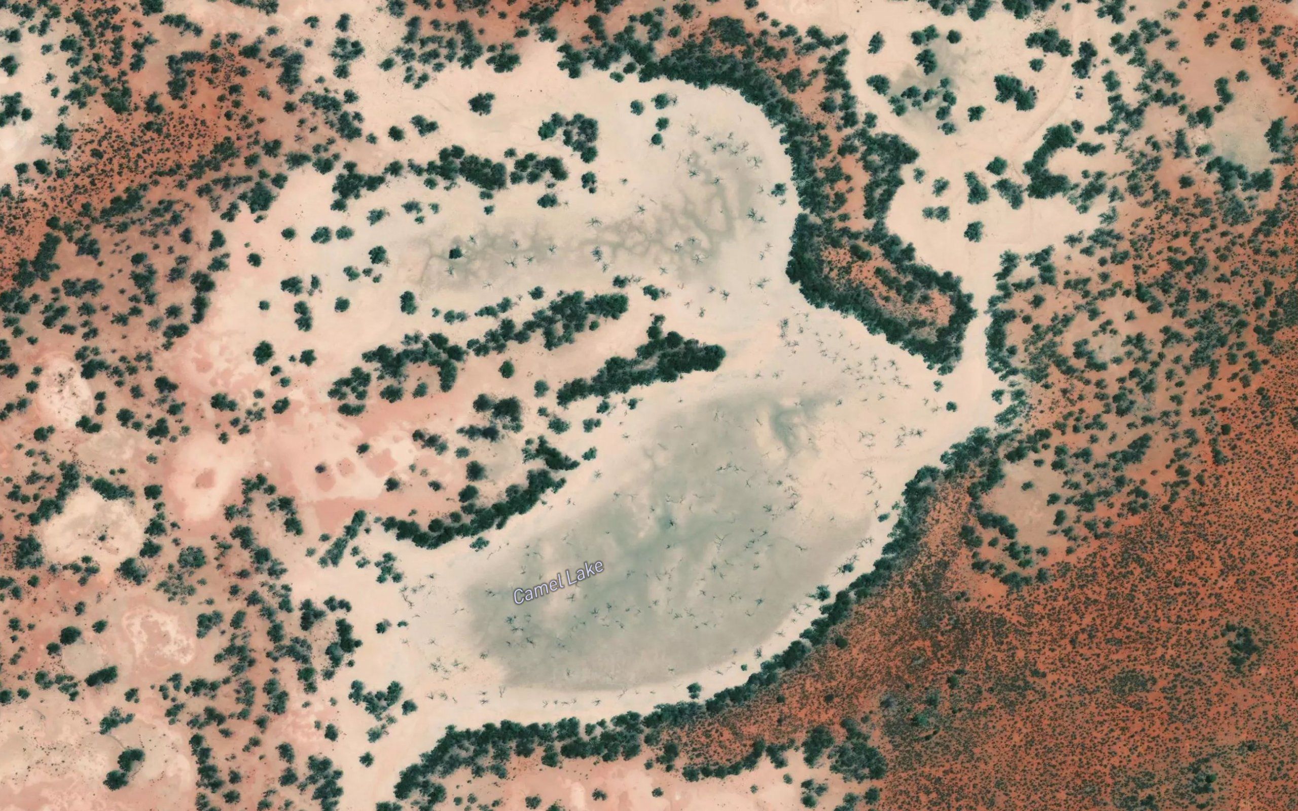 Camel Lake
