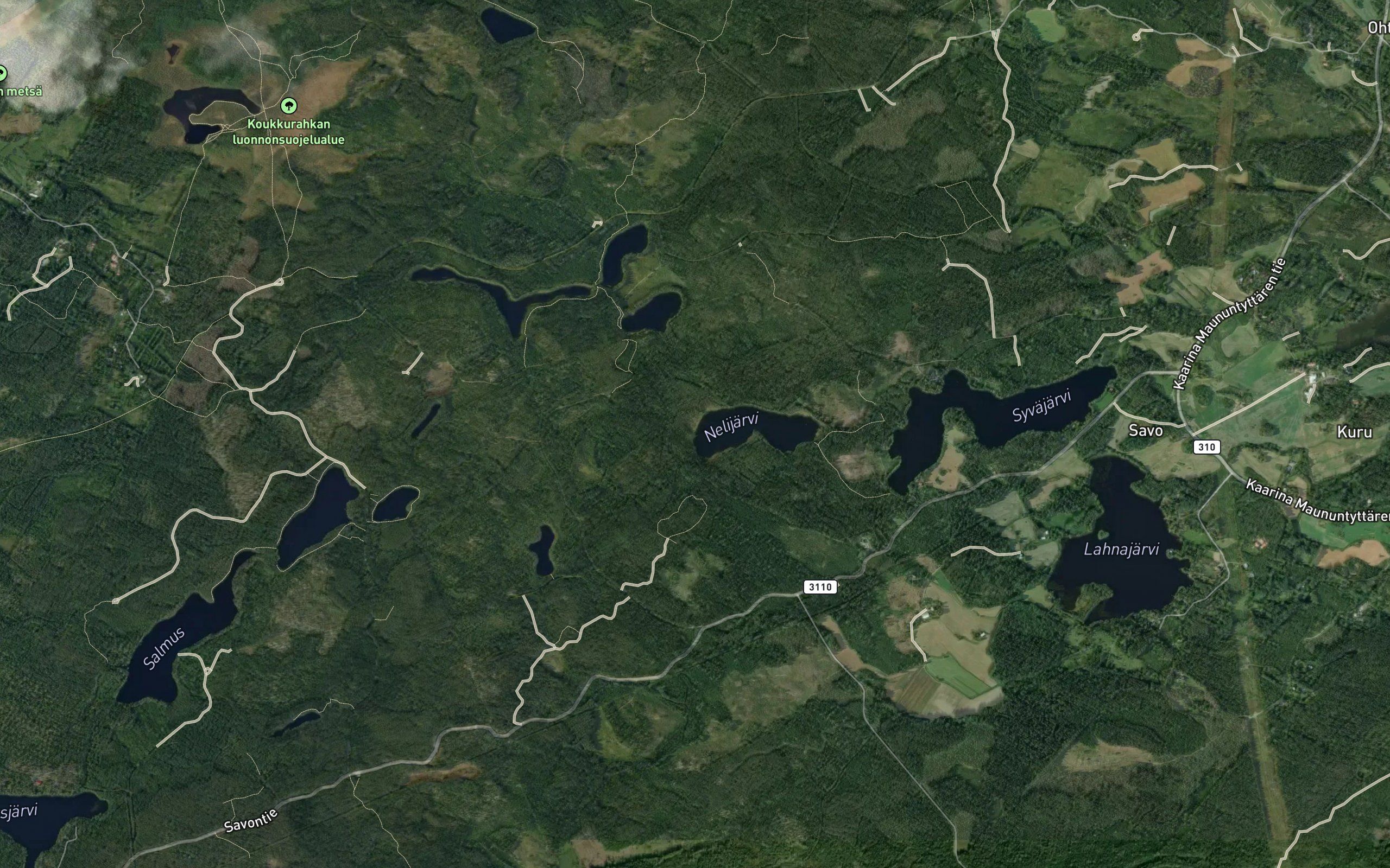 Mustaoja