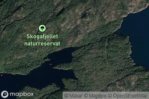 Stemma
