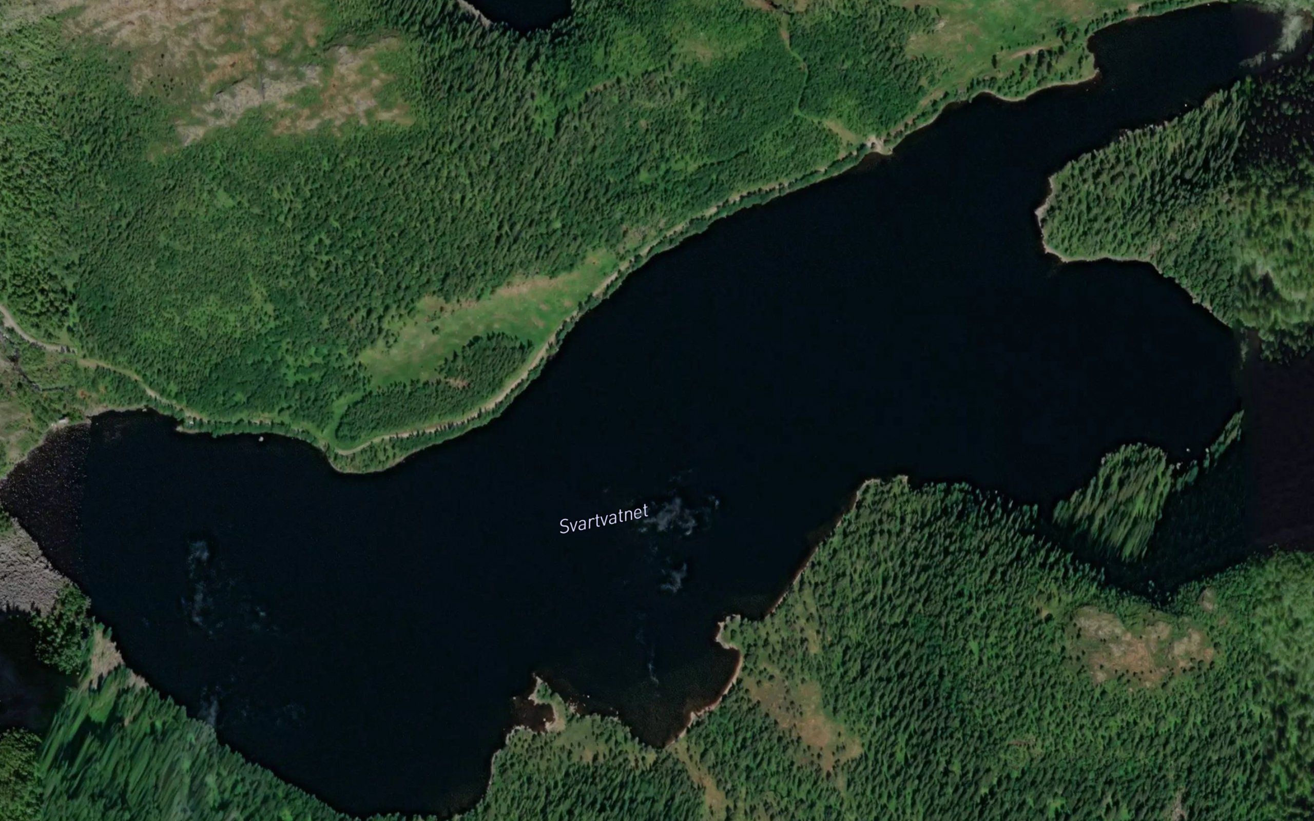 Svartvatnet