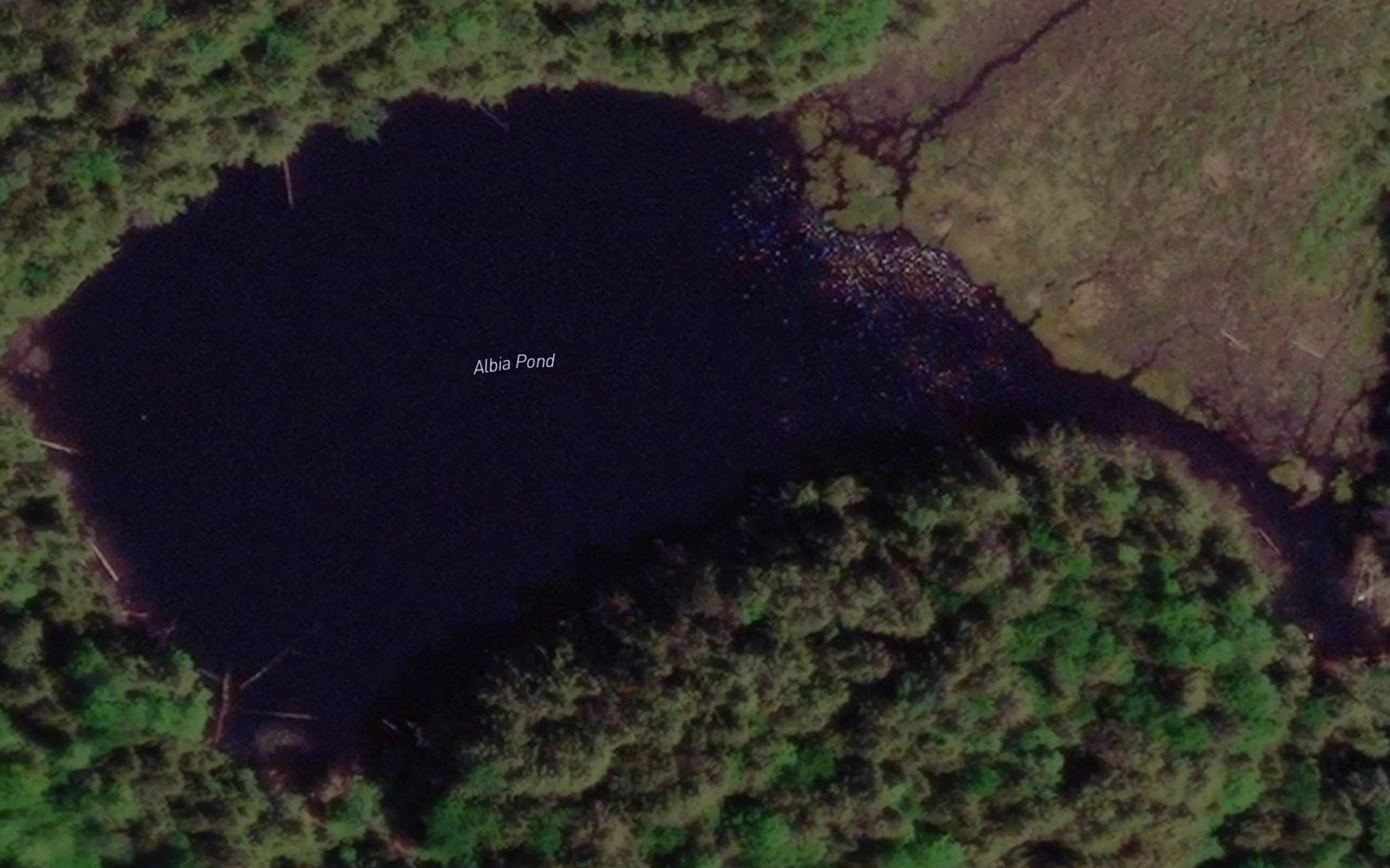 Albia Pond