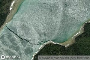 Tagish Lake
