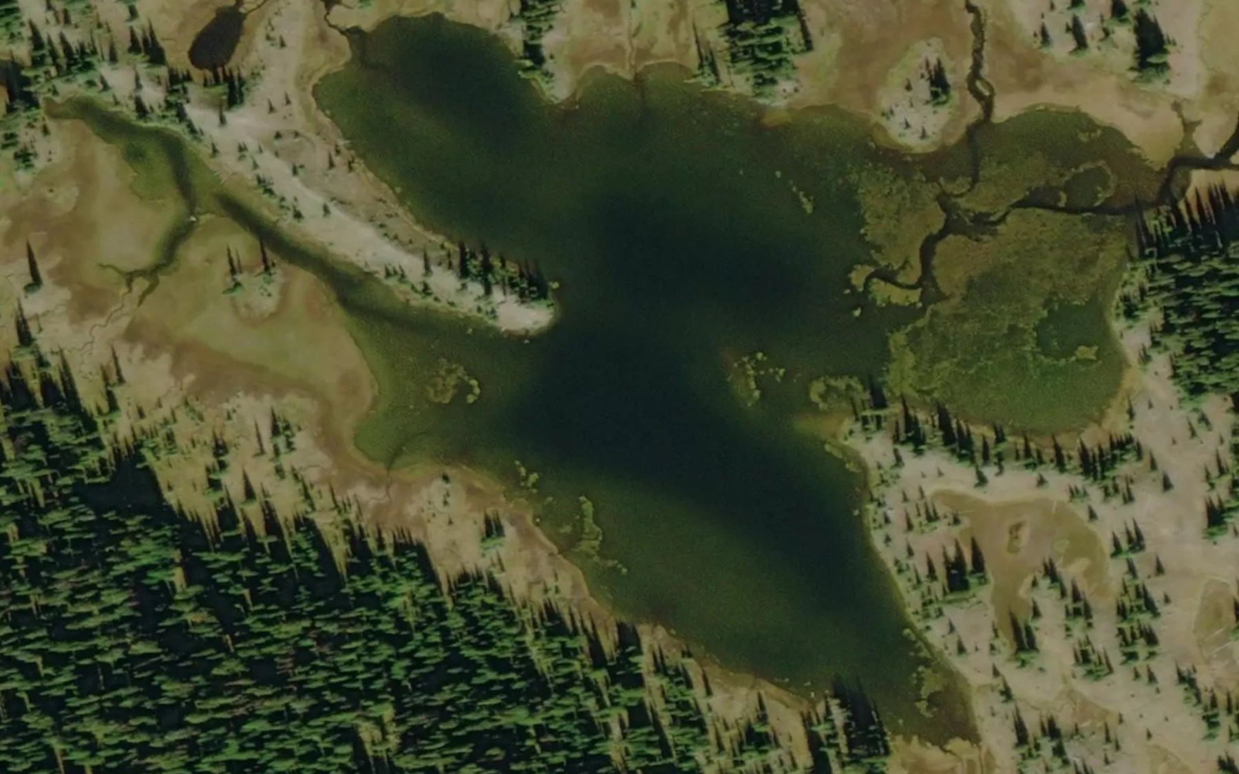 Satellite map of the Linden Lake