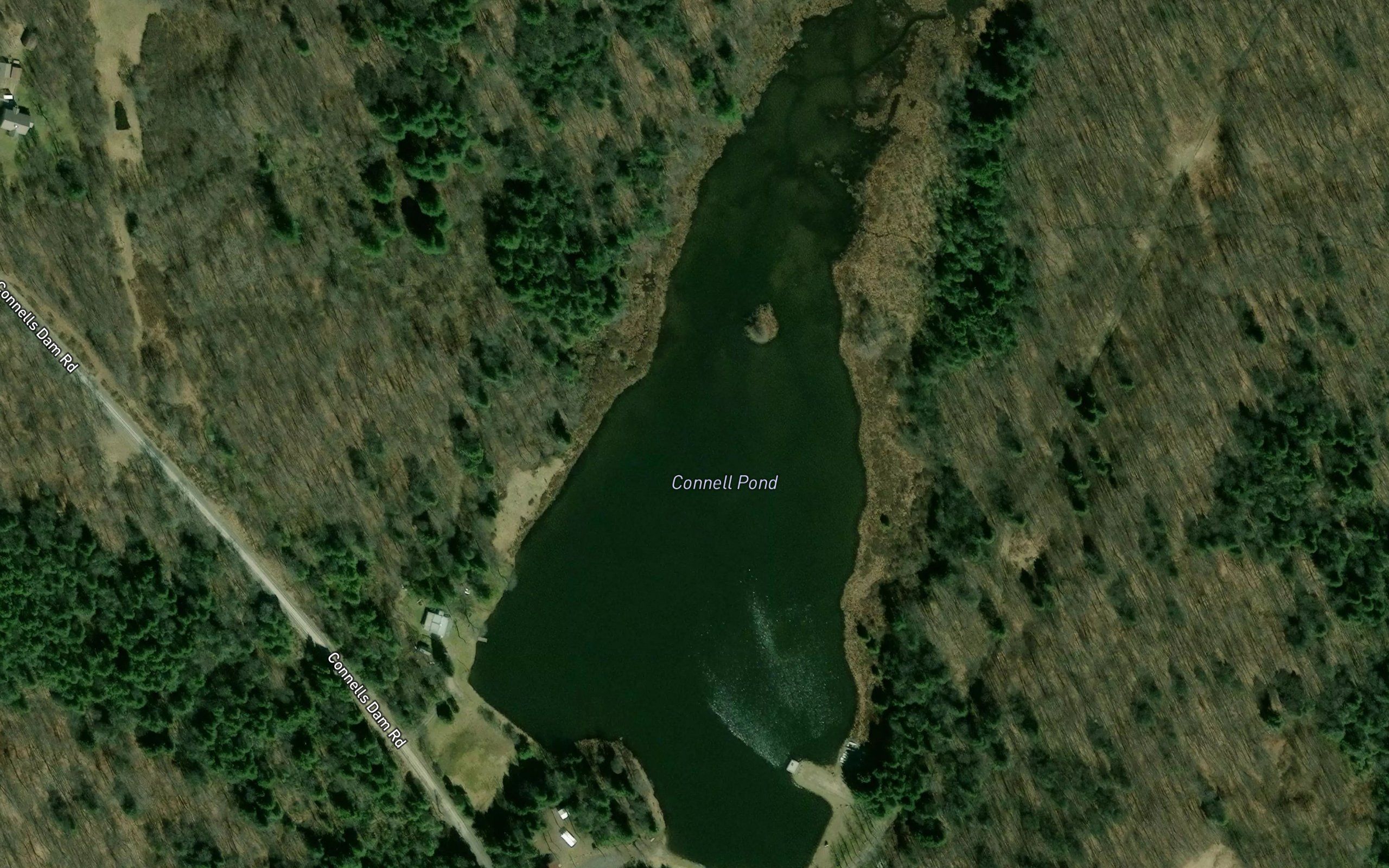 Connell Pond