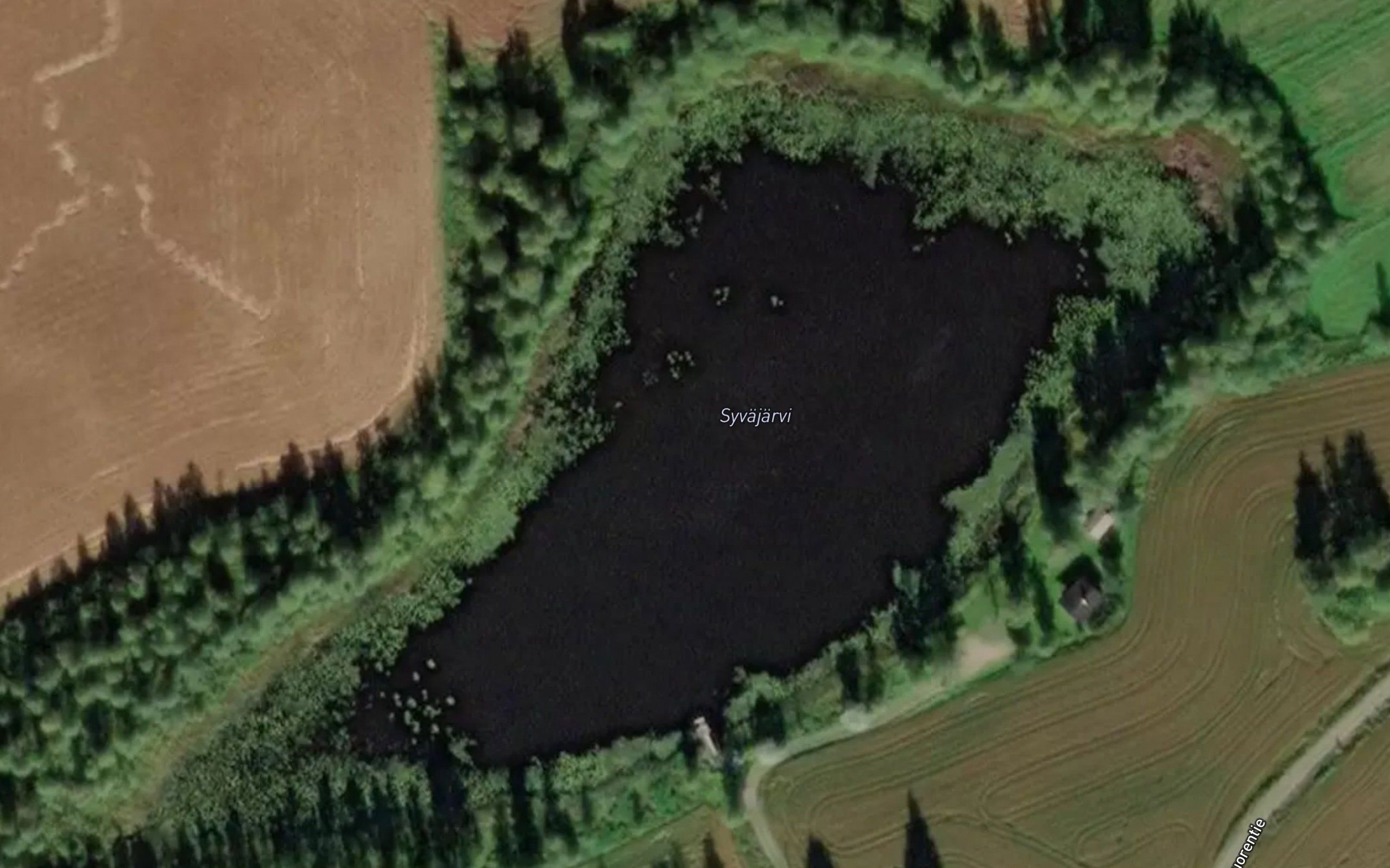 Syvajarvi