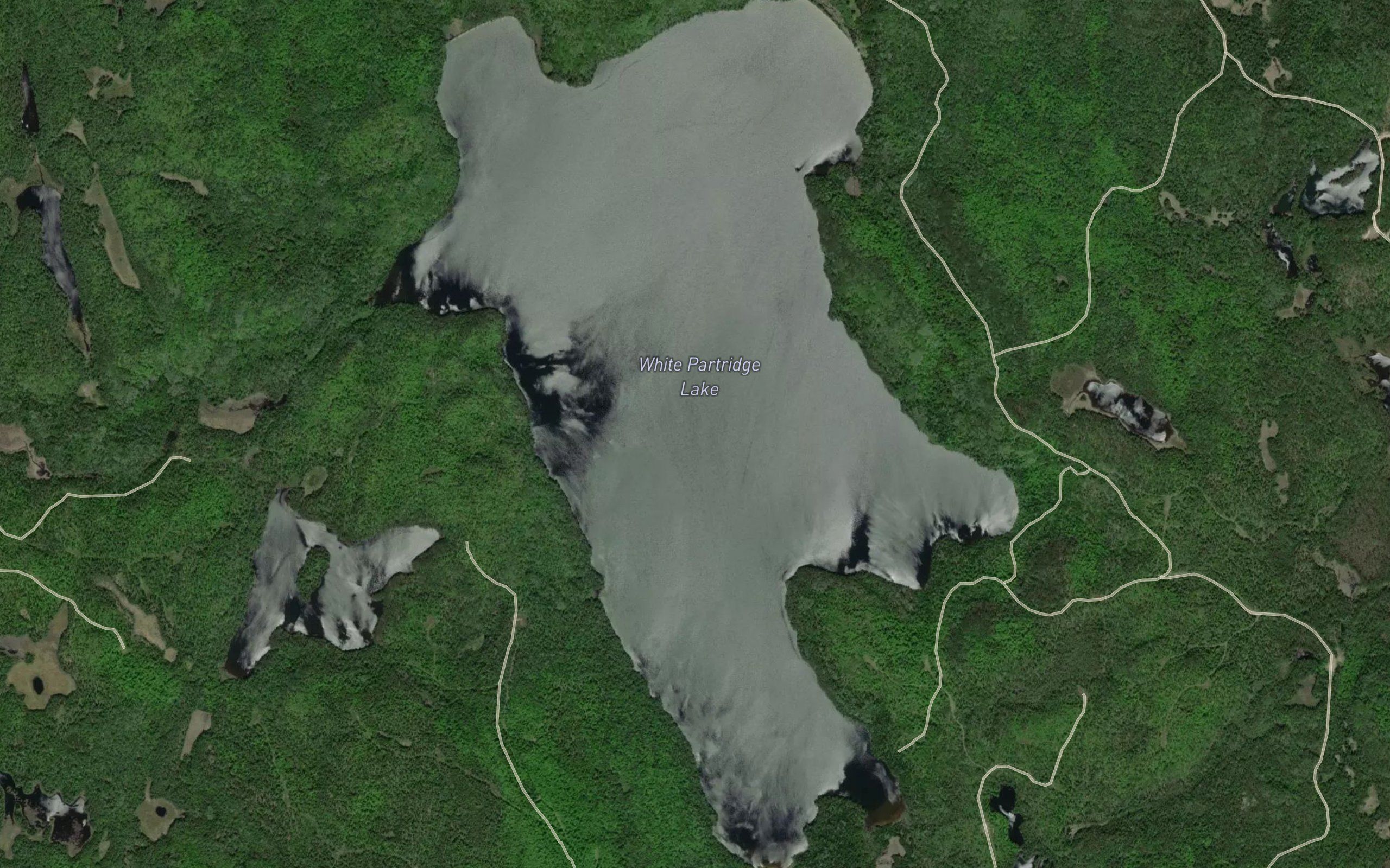 White Partridge Lake