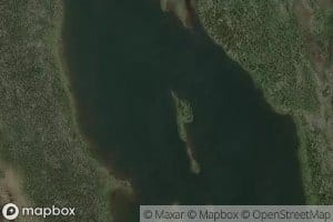 Lac Gustafson