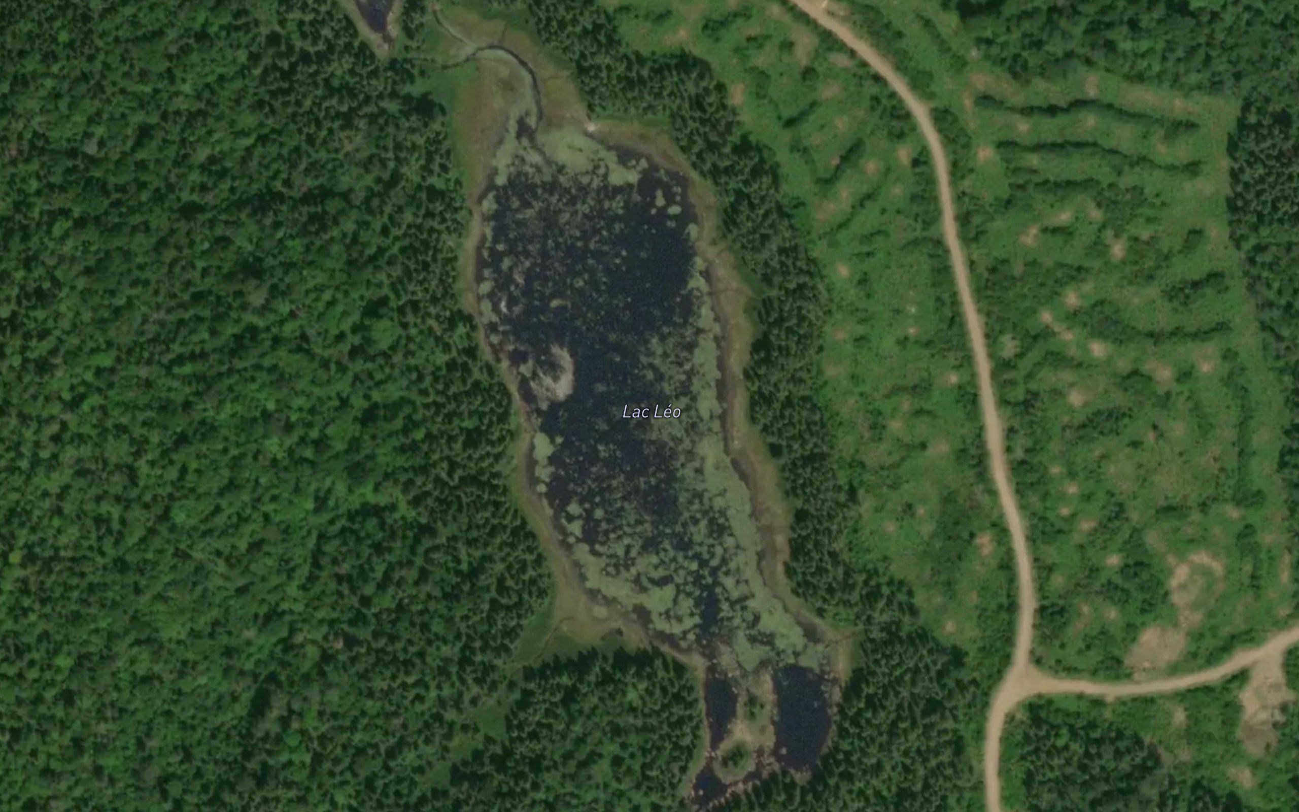 Lac Leo