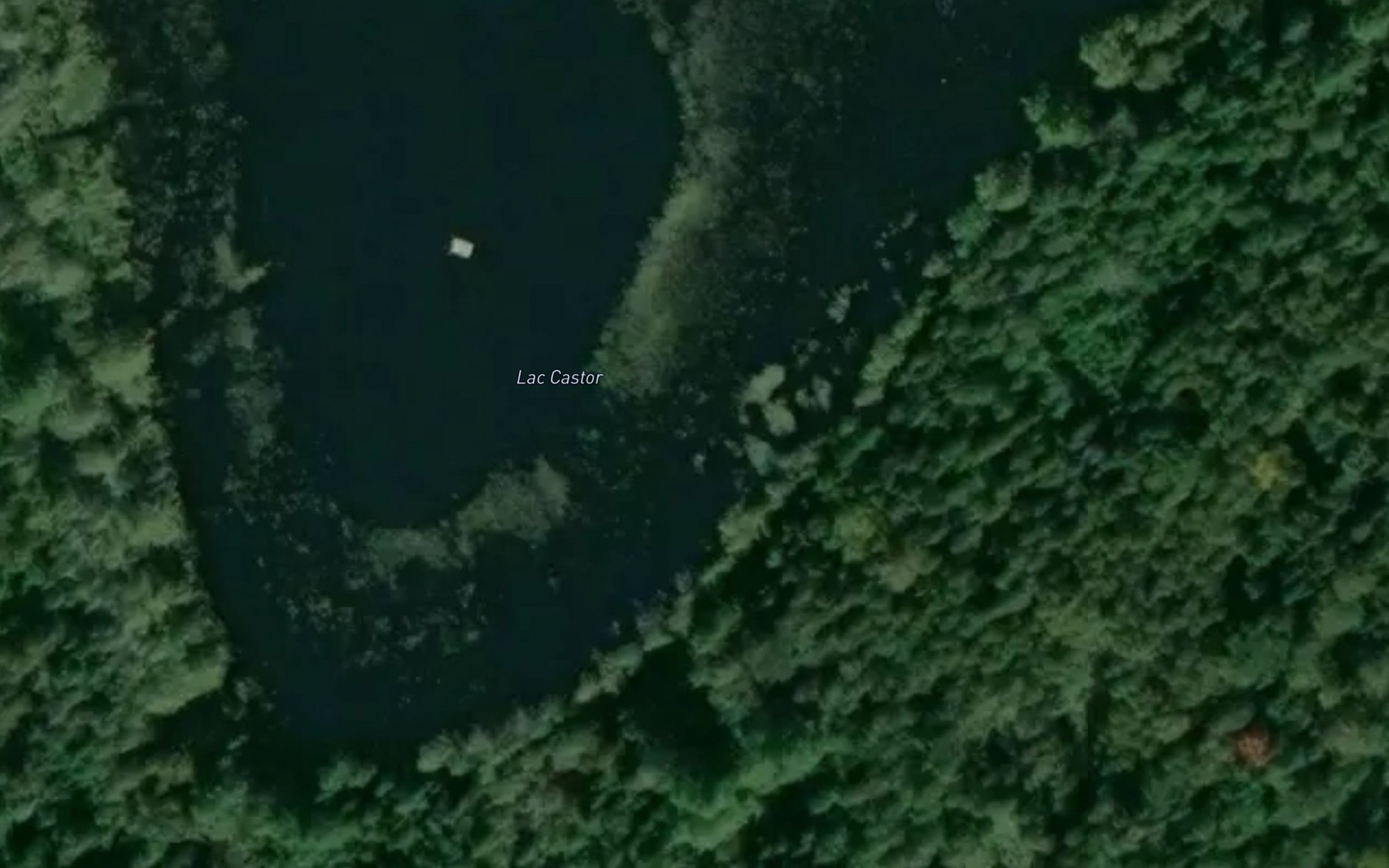 Satellite map of the Lac Castor