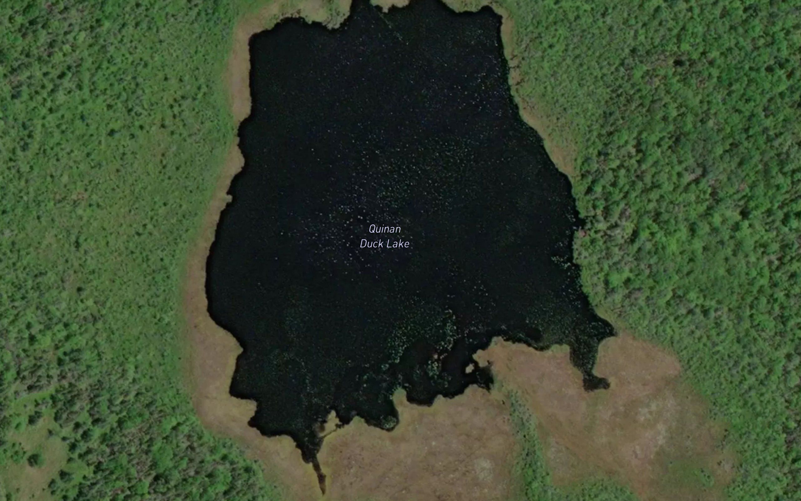 Quinan Duck Lake