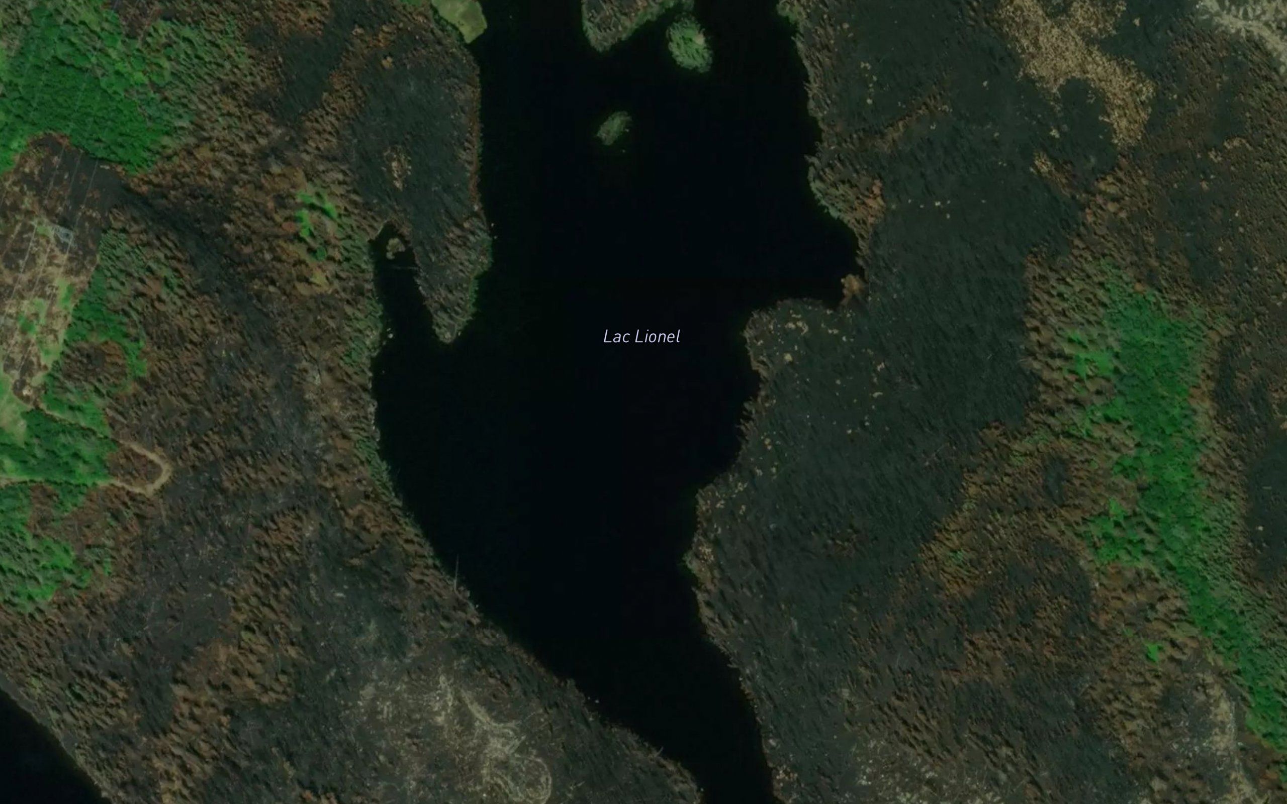 Lac Lionel