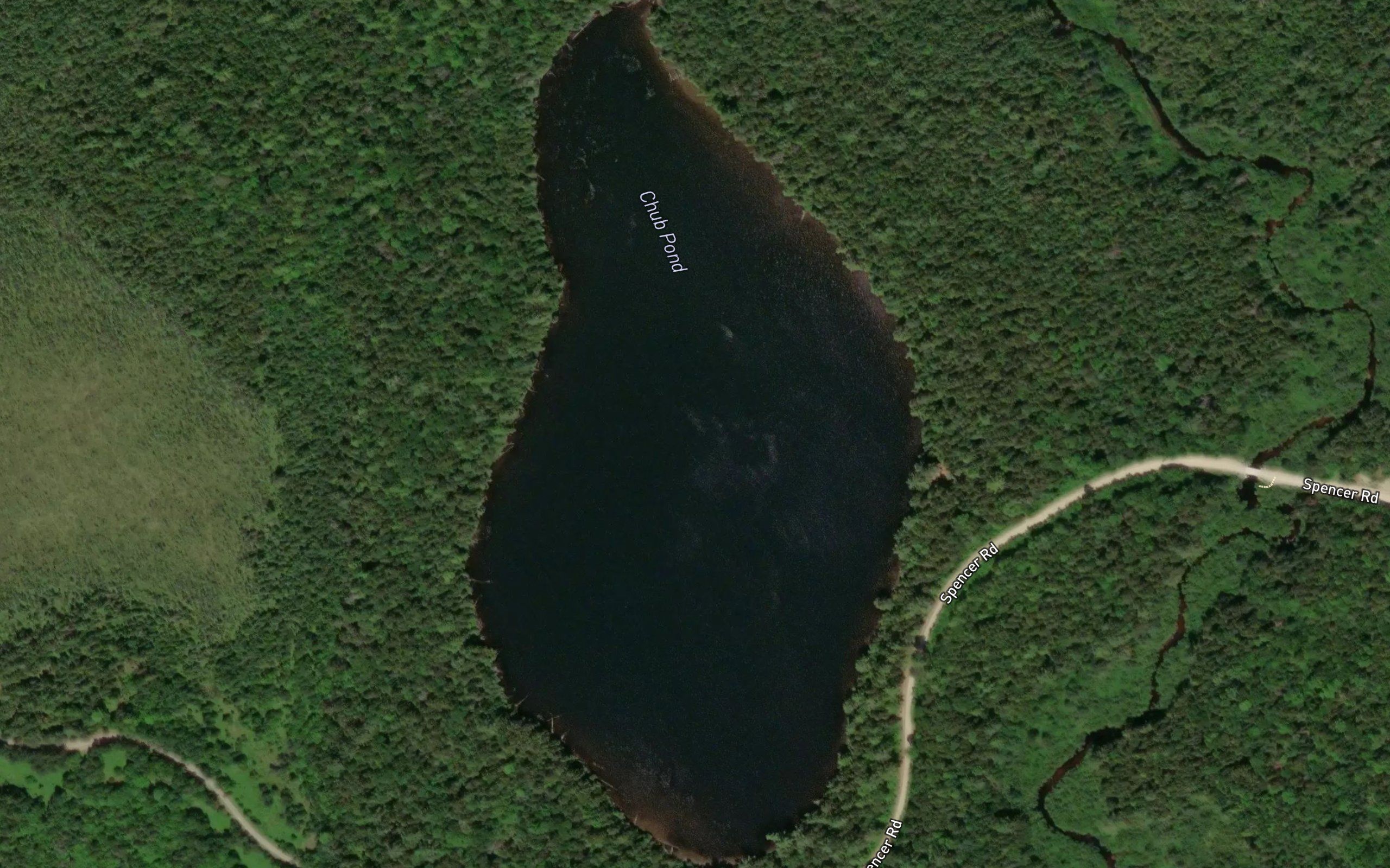 Chub Pond