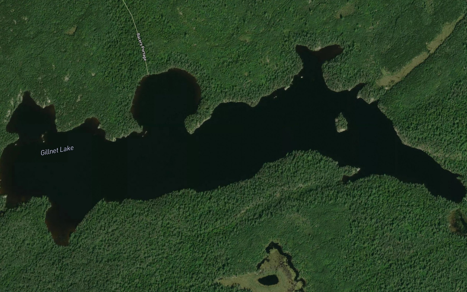 Satellite map of the Gillnet Lake