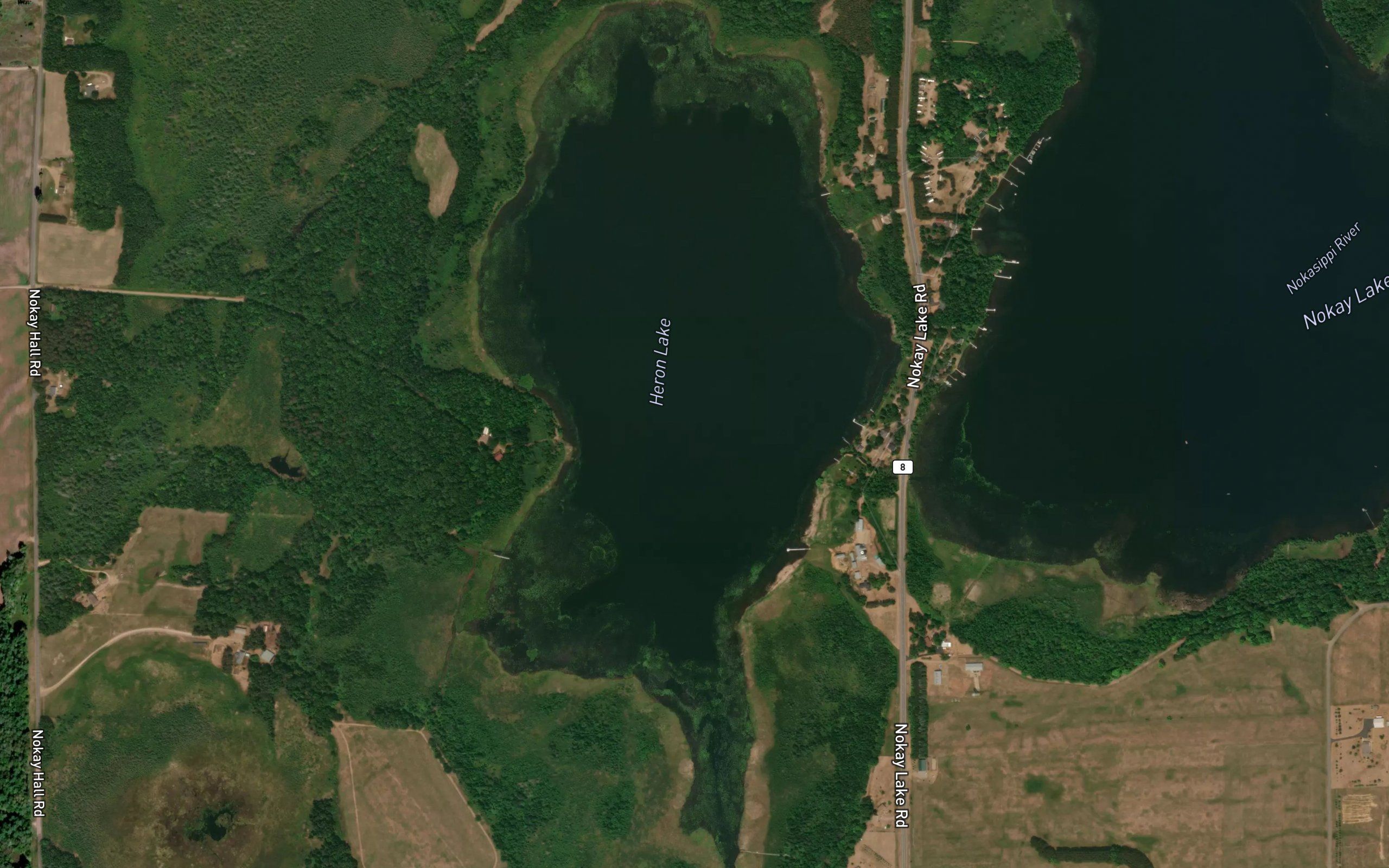 Heron Lake