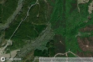 Yellow Jacket Creek