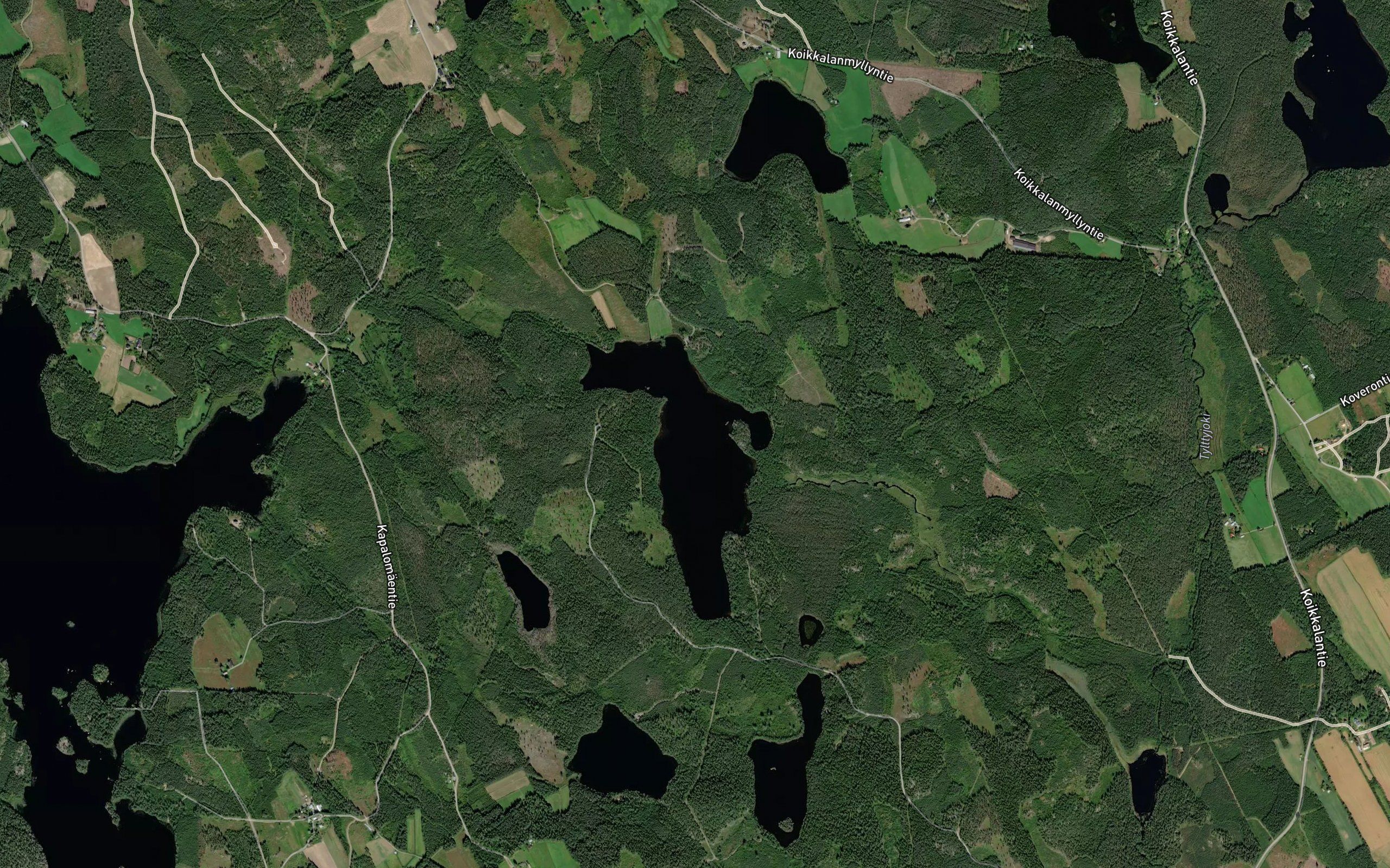 Kaakka