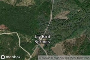 Jay Bird Springs