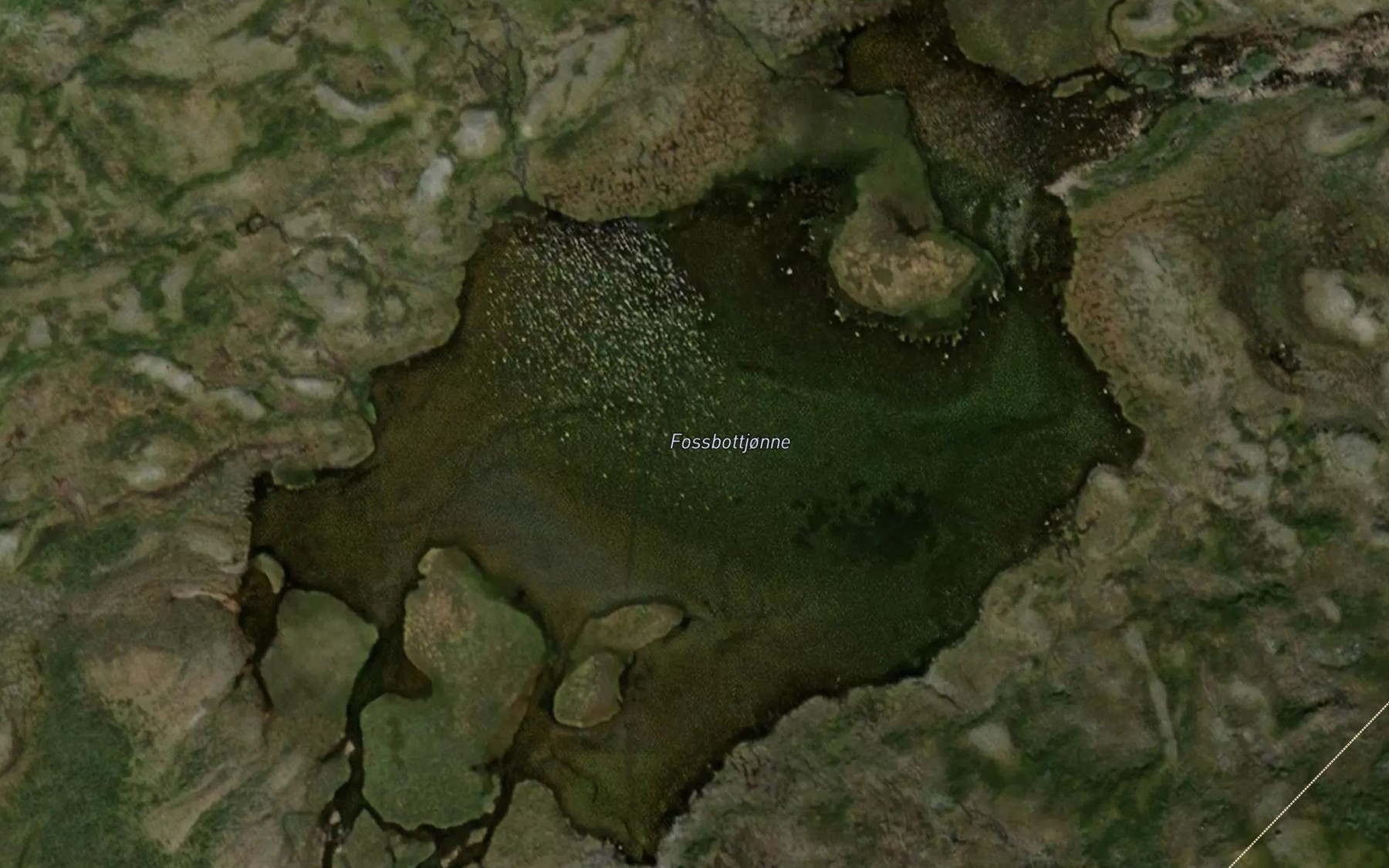 Satellite map of the Fossbotntjorni