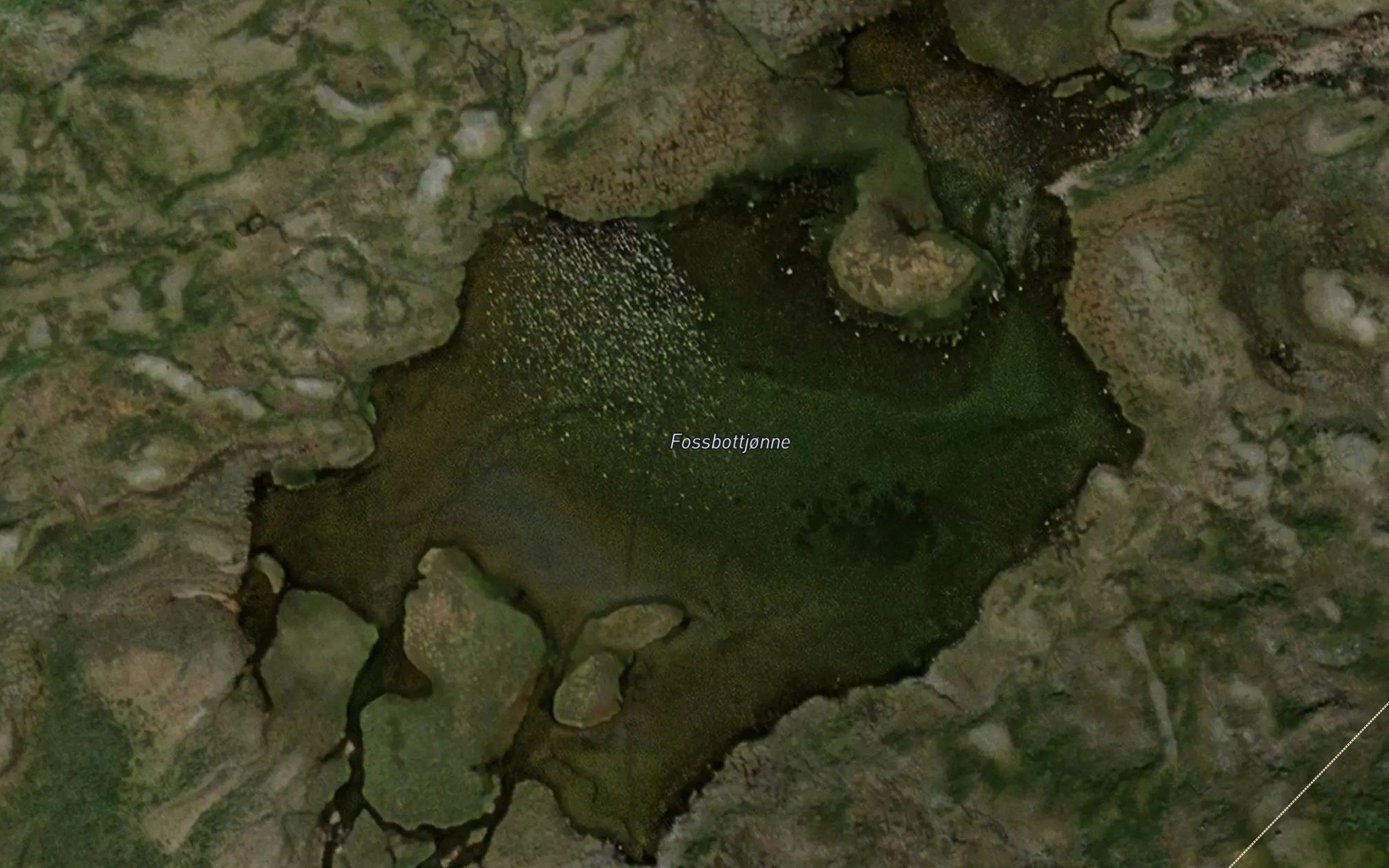 Fossbotntjorni