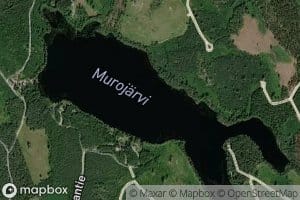 Murojarvi