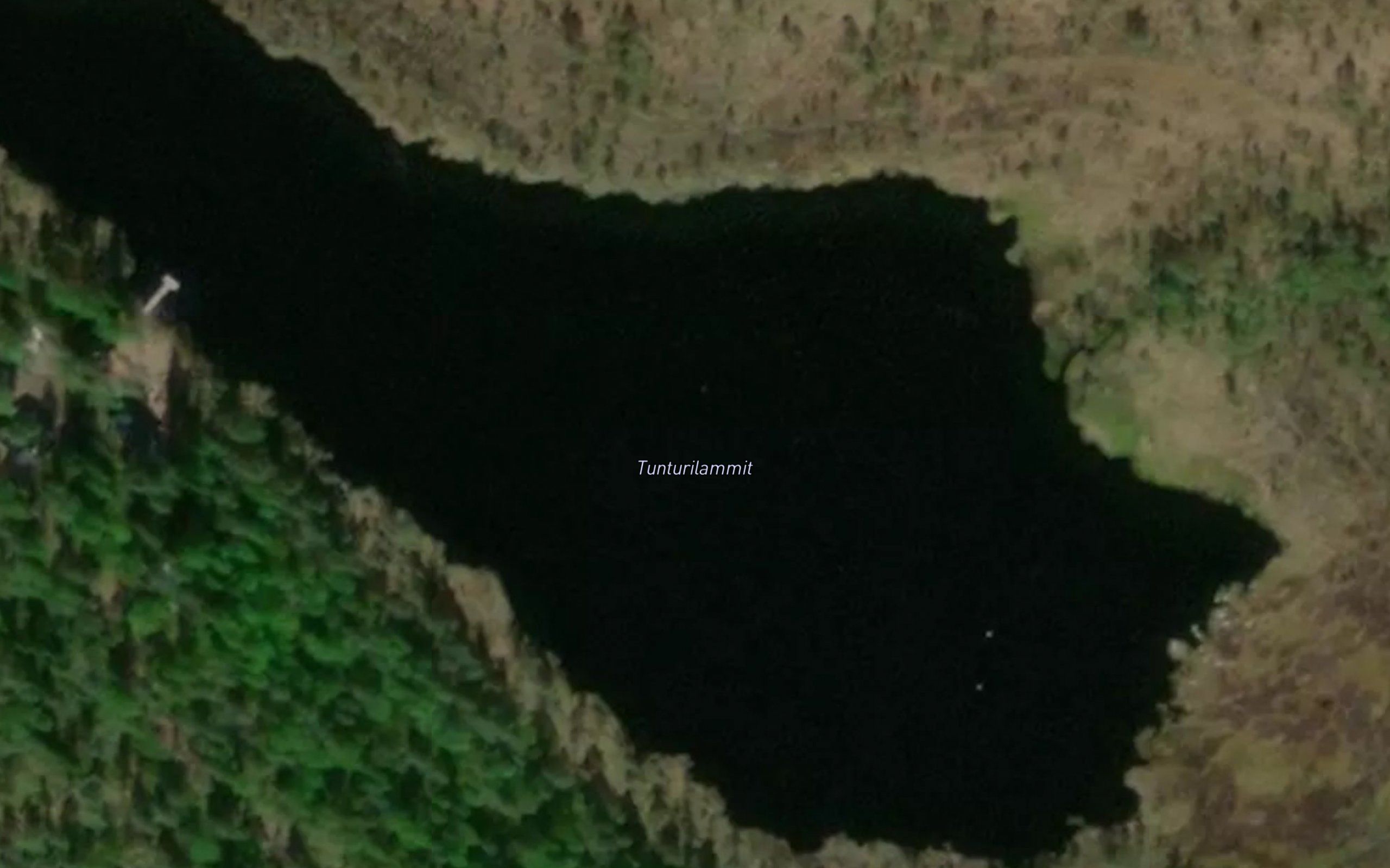Tunturilammit