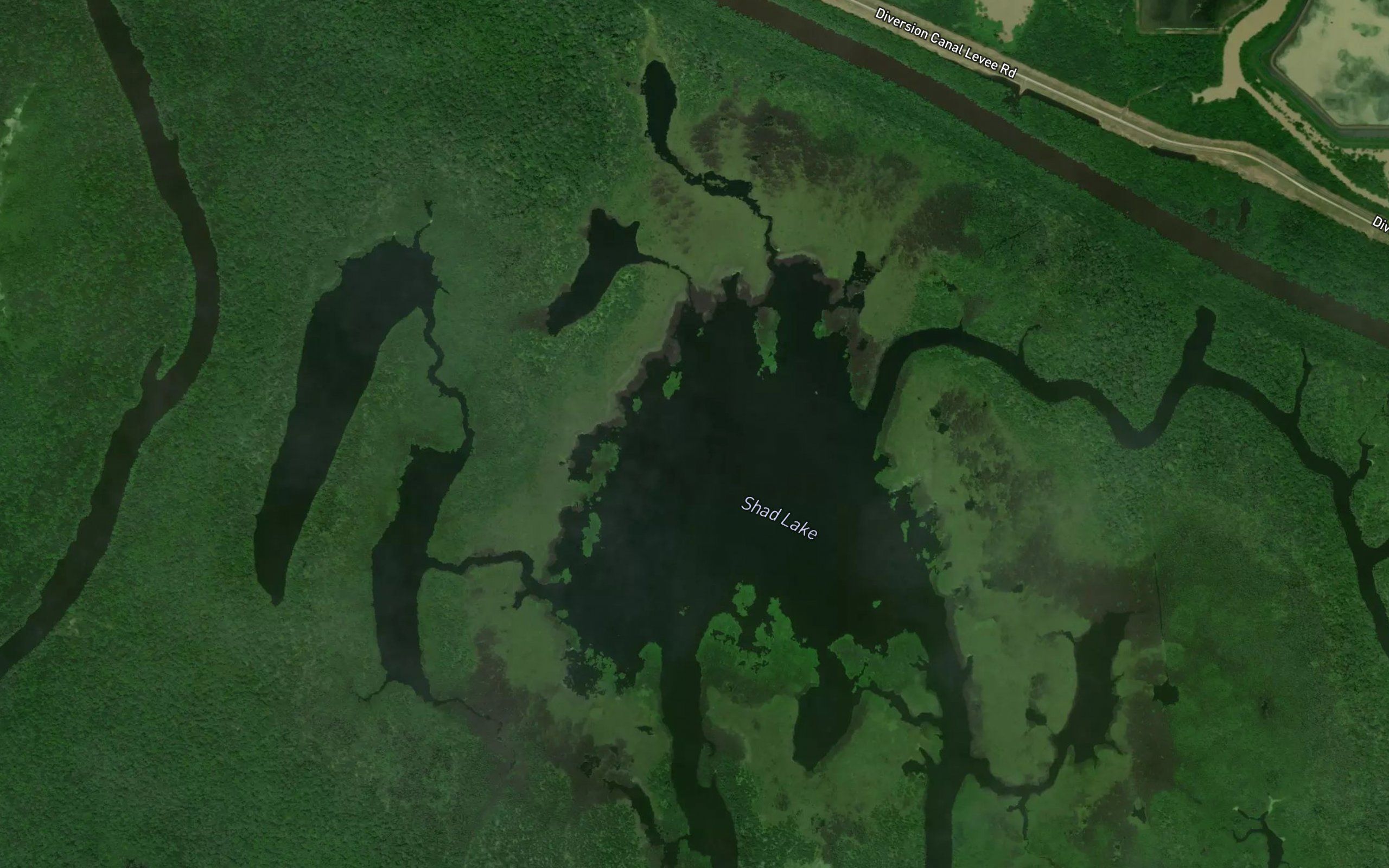 Shad Lake