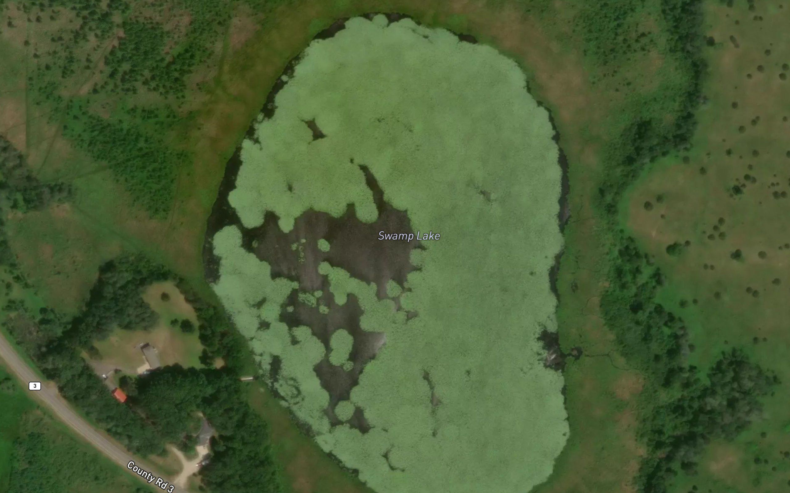 Swamp Lake