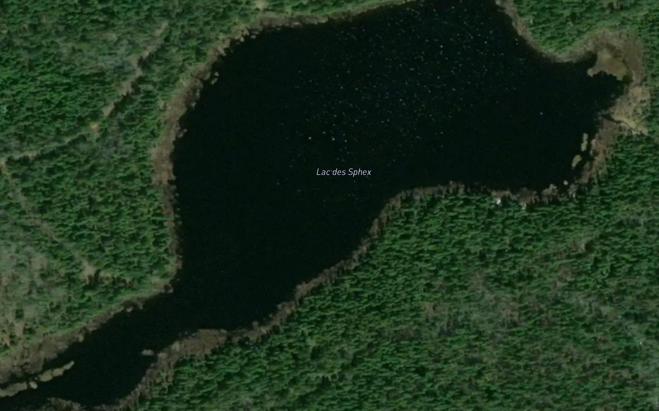 Lac des Sphex
