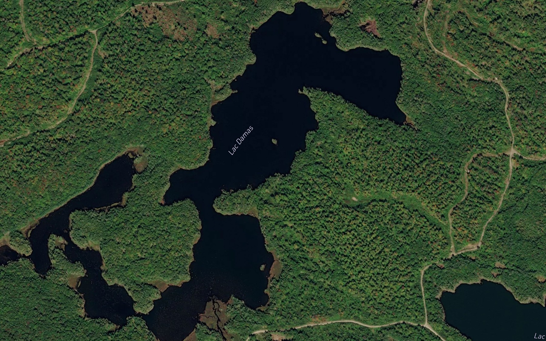 Satellite map of the Lac Damas