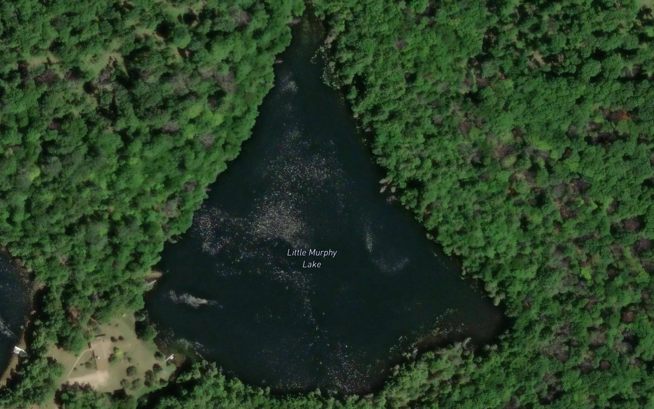 Little Murphy Lake