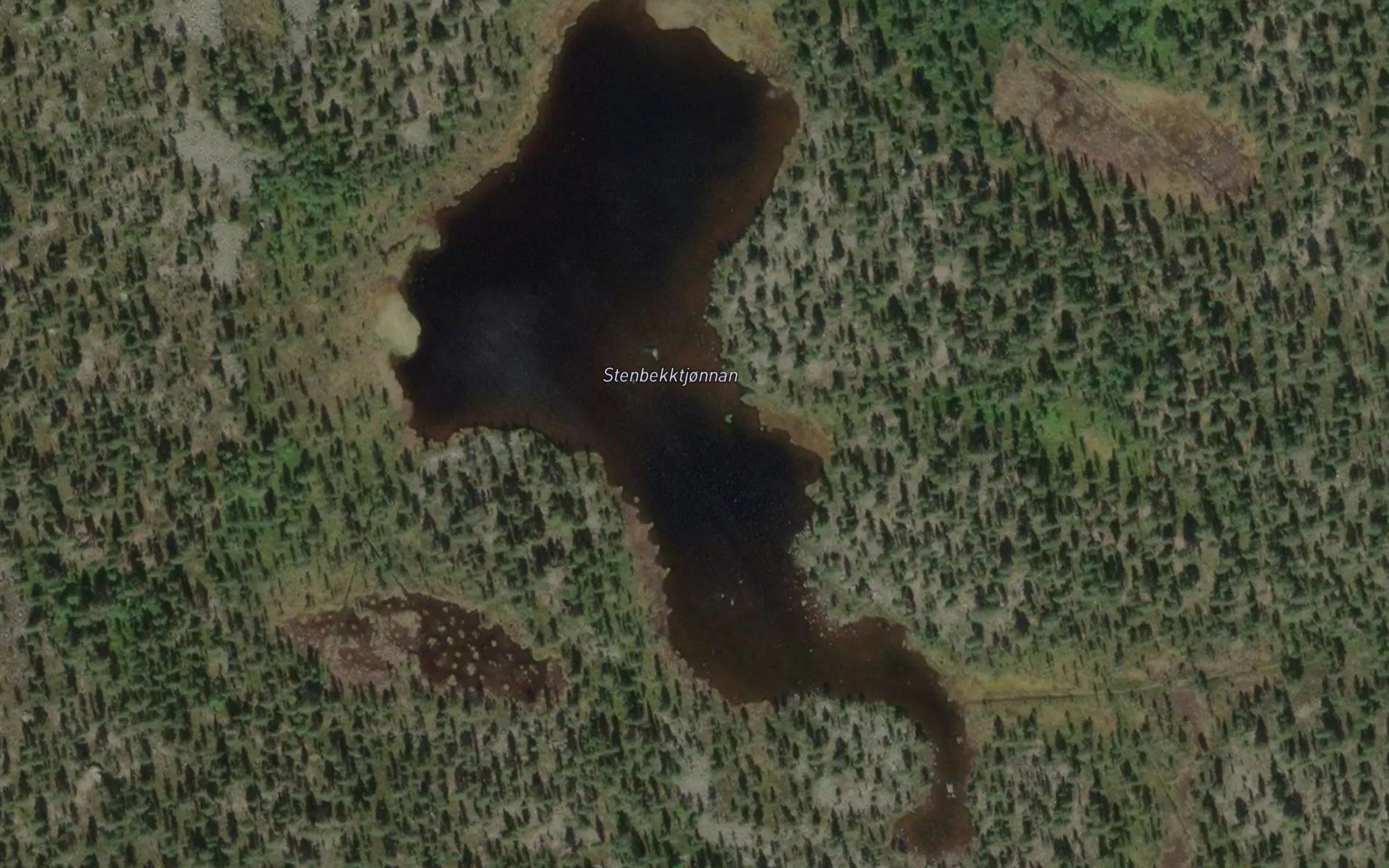 Stenbekktjornane