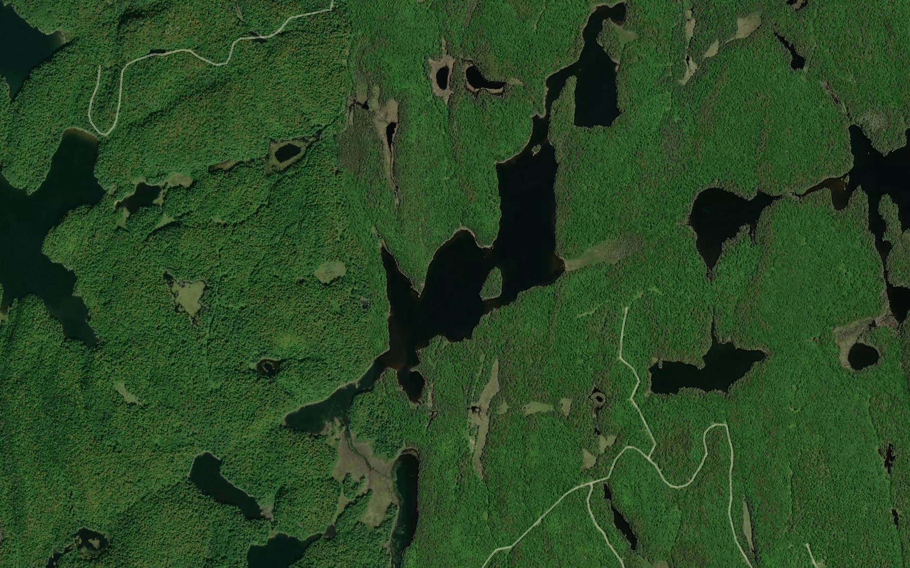 Satellite map of the McGarvey Lake