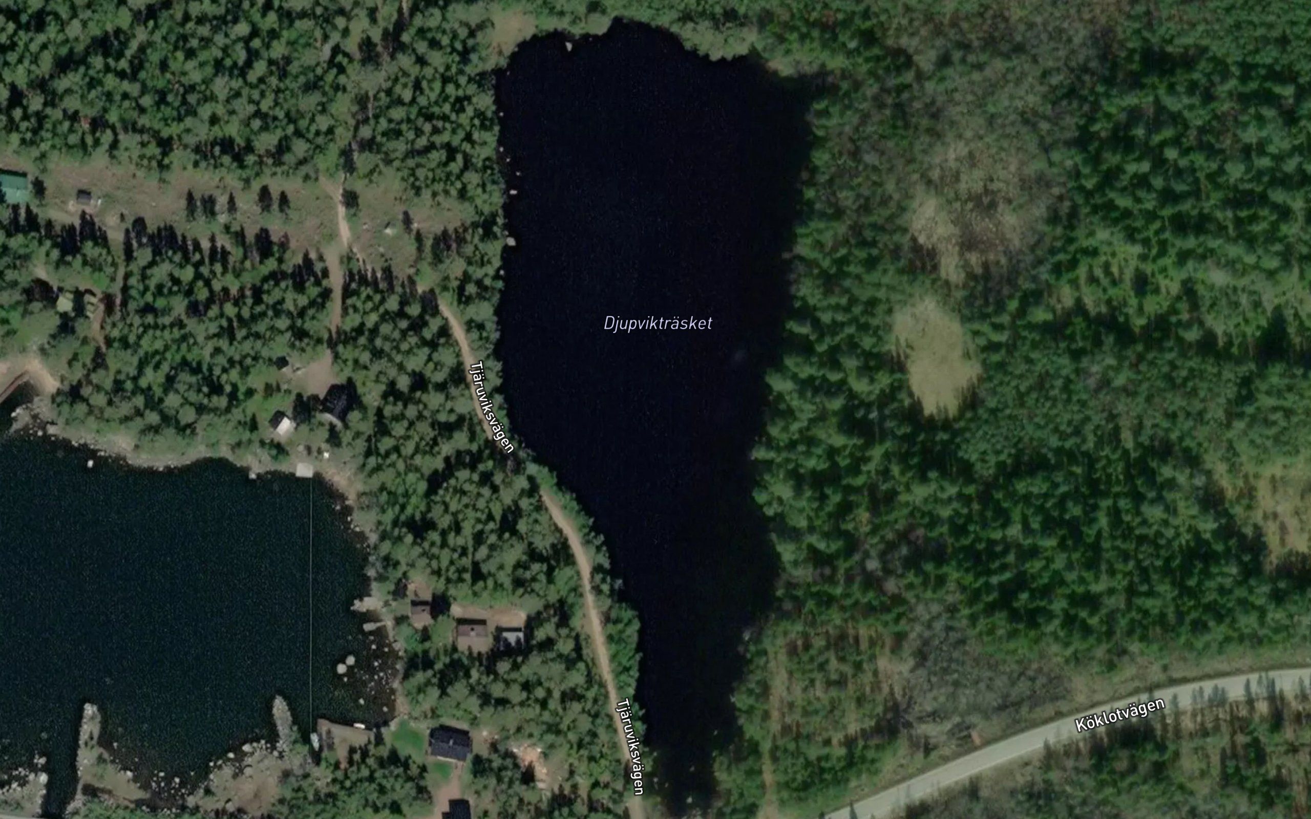 Djupviktrasket